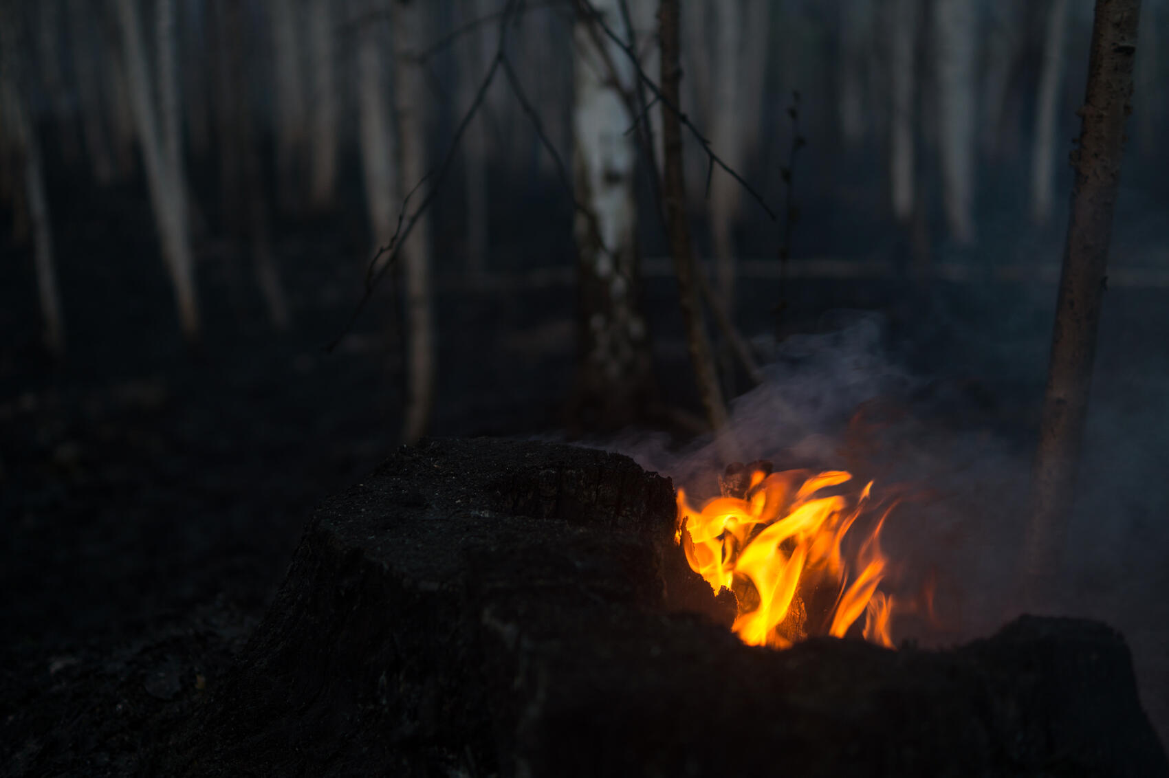 Фото: Елена Елизарова / It's My City
