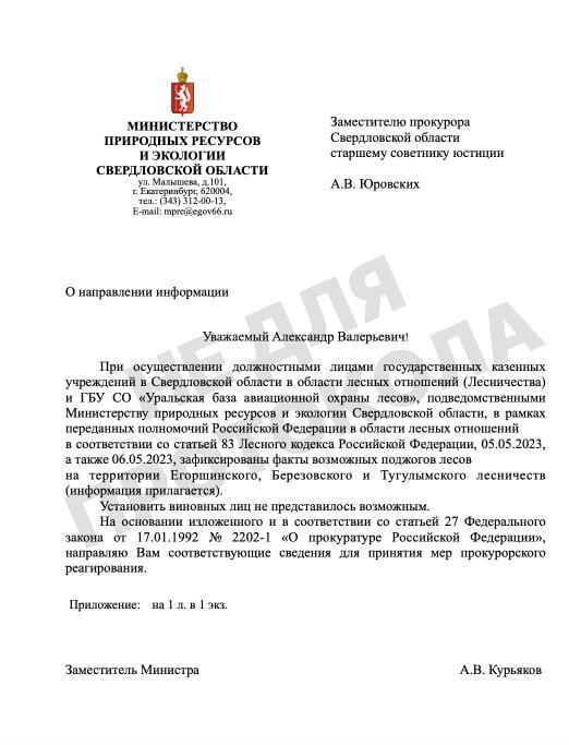 Фото: телеграм-канал «Не для протокола»