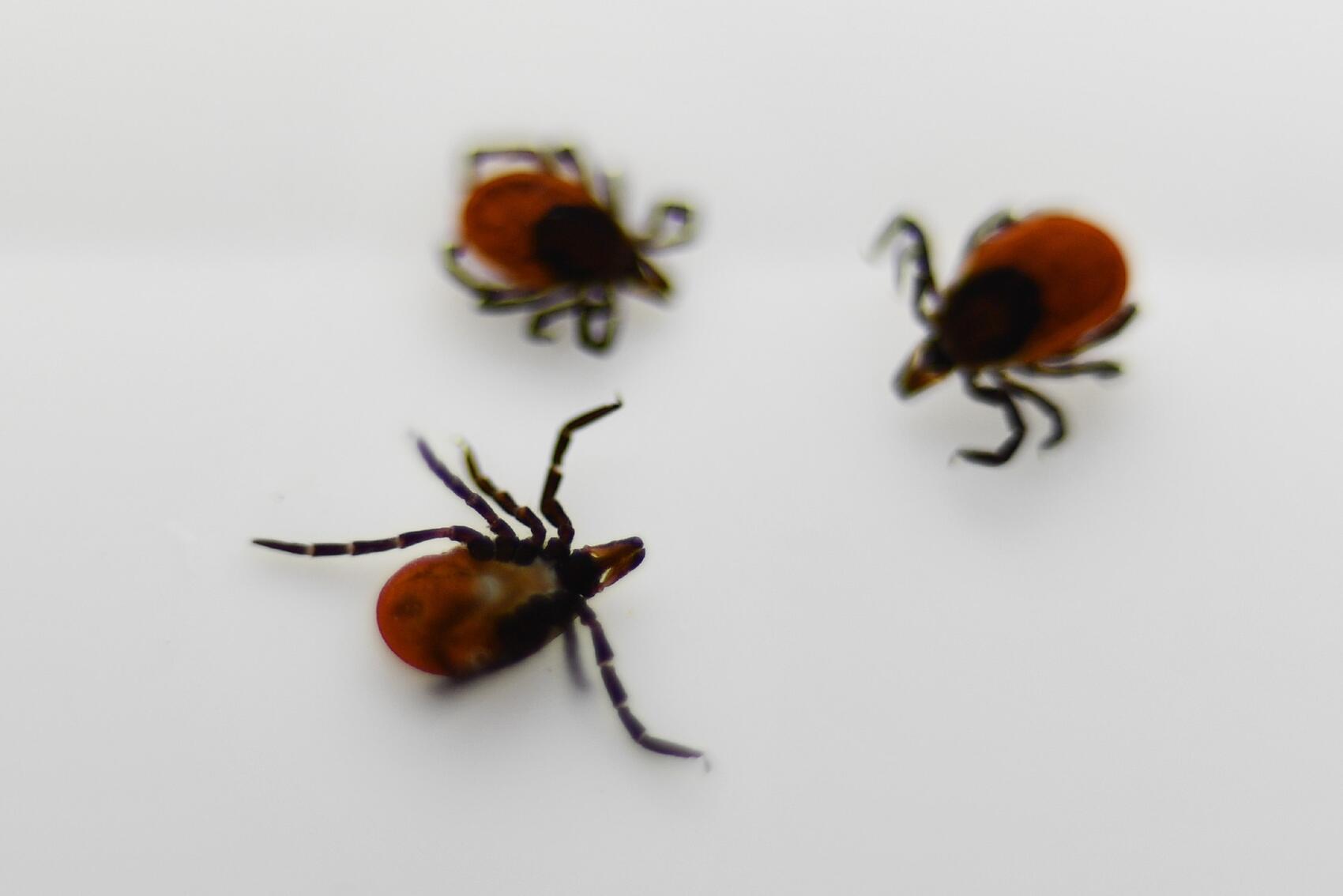 Фото: Ростопотребнадзор