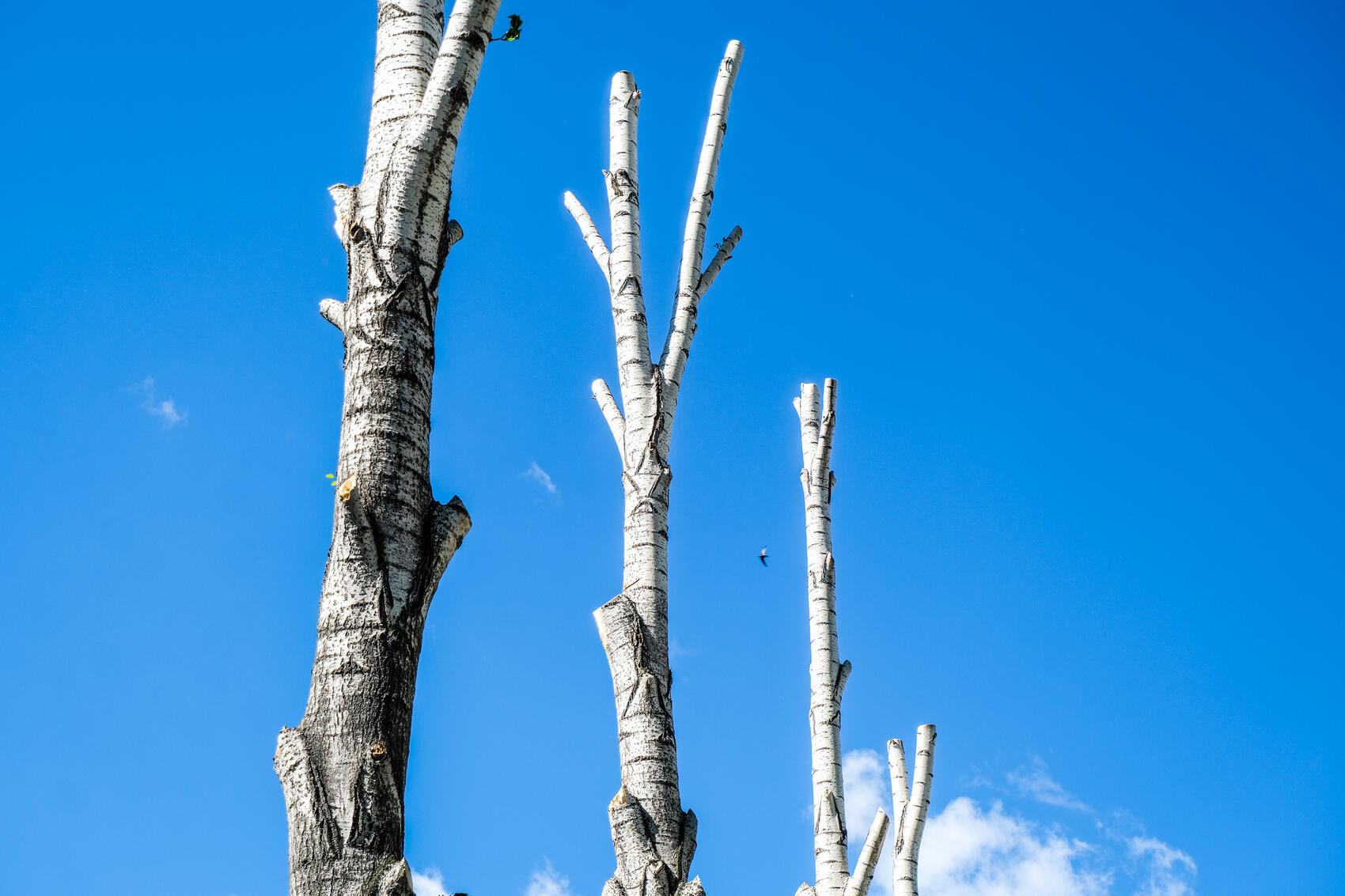 Фото: Саша Зубковский / It's My City