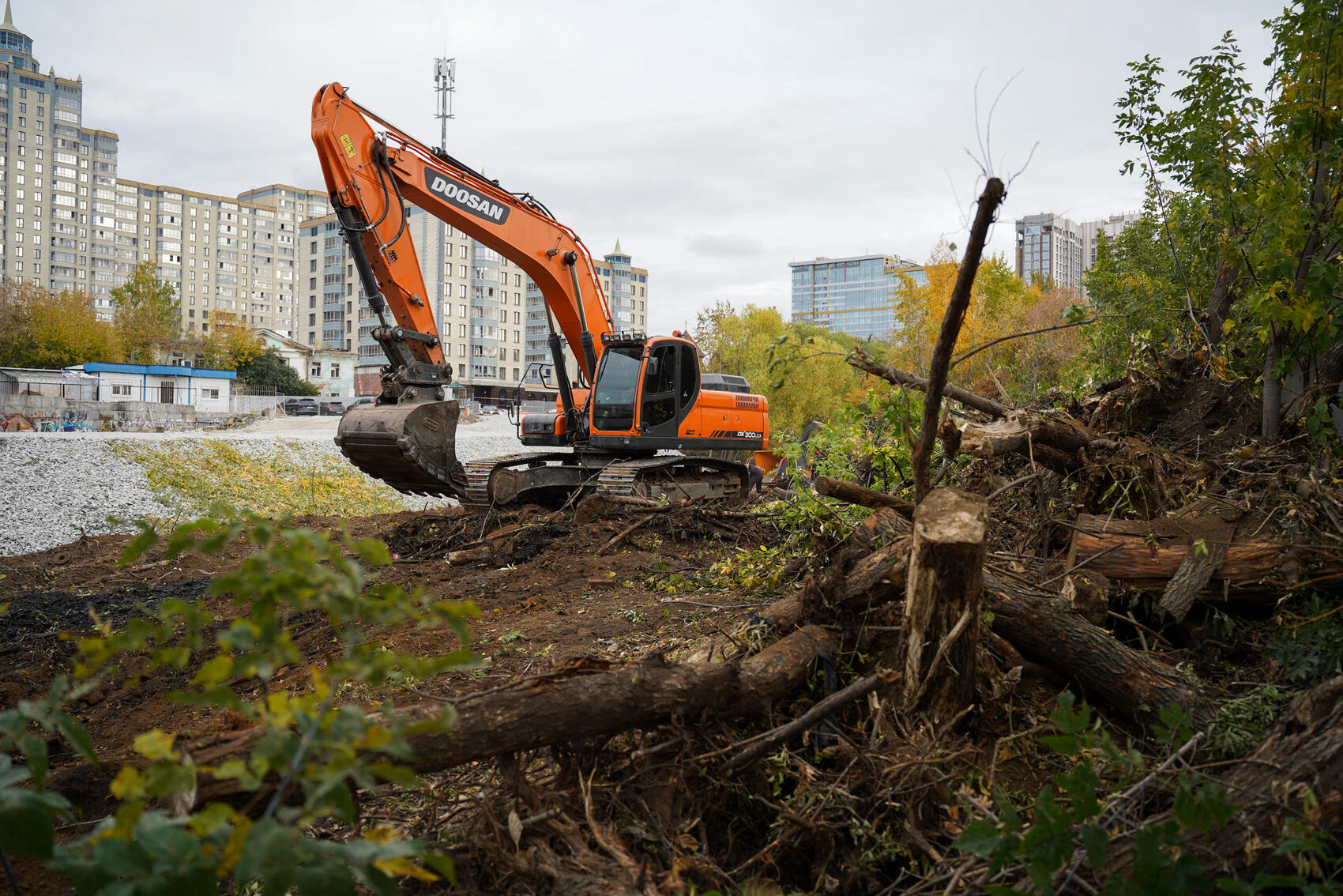 Фото: Елена Елизарова / It's My City