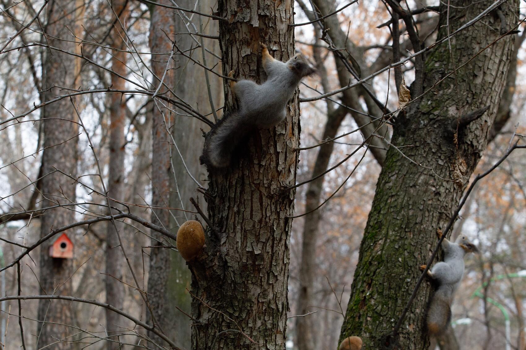 Фото: Елена Елизарова / It’s My&nbsp;City