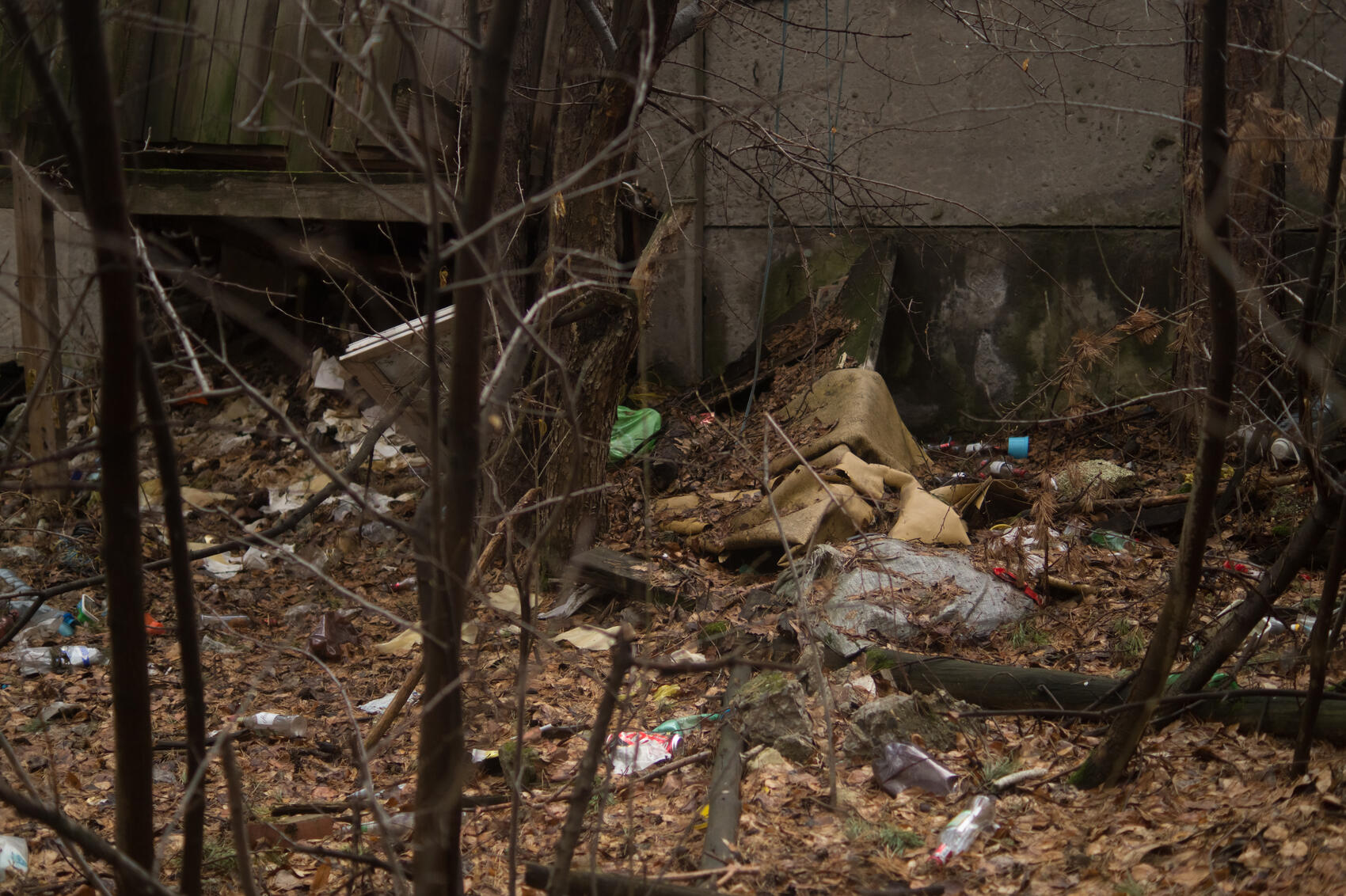 Фото: Елена Елизарова / It's My City