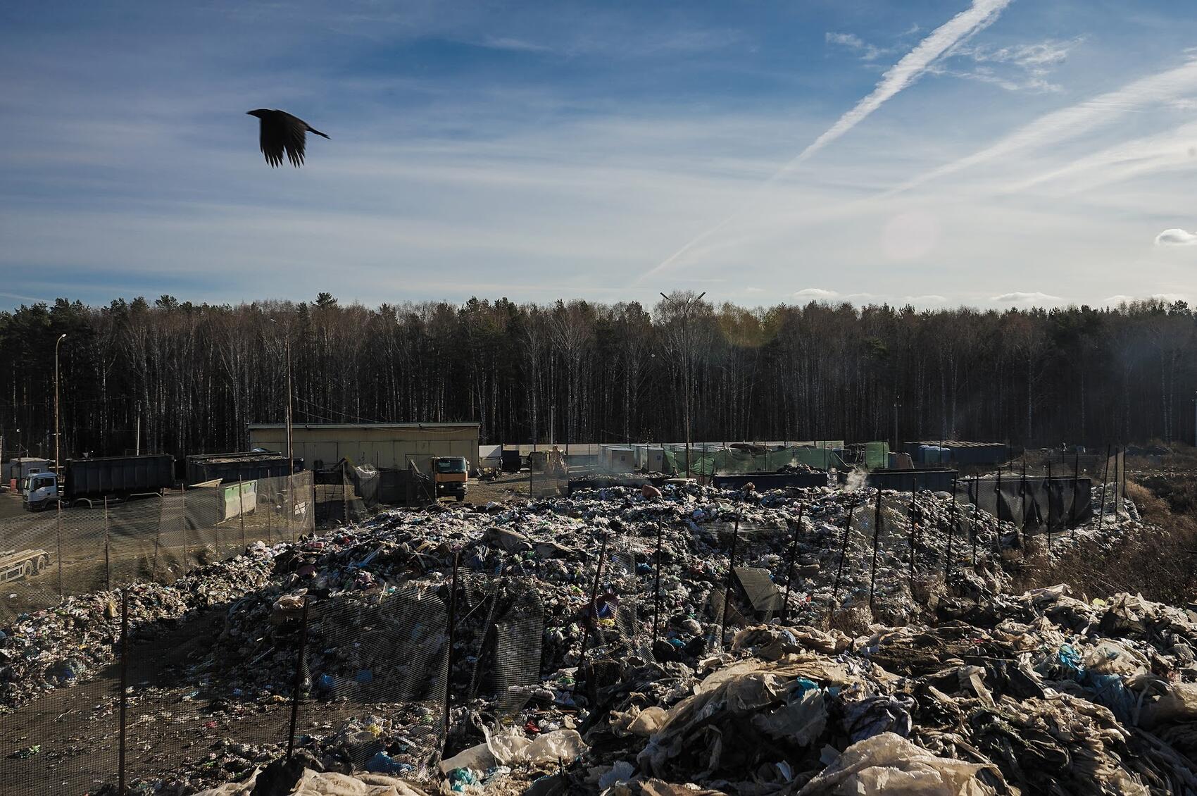 Фото: Арина Томашова / It's My City