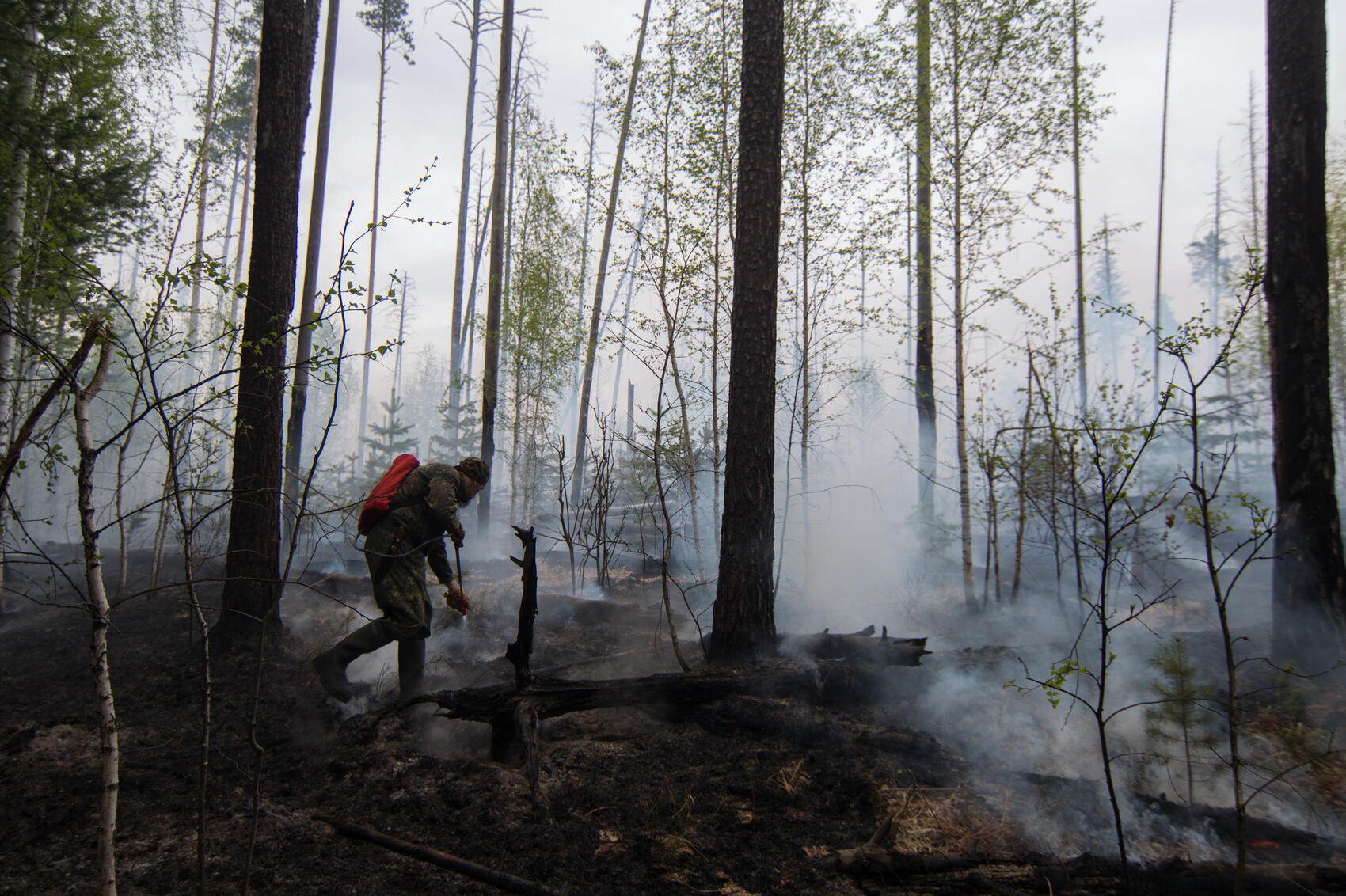 Фото: Елена Елизарова / It's My City