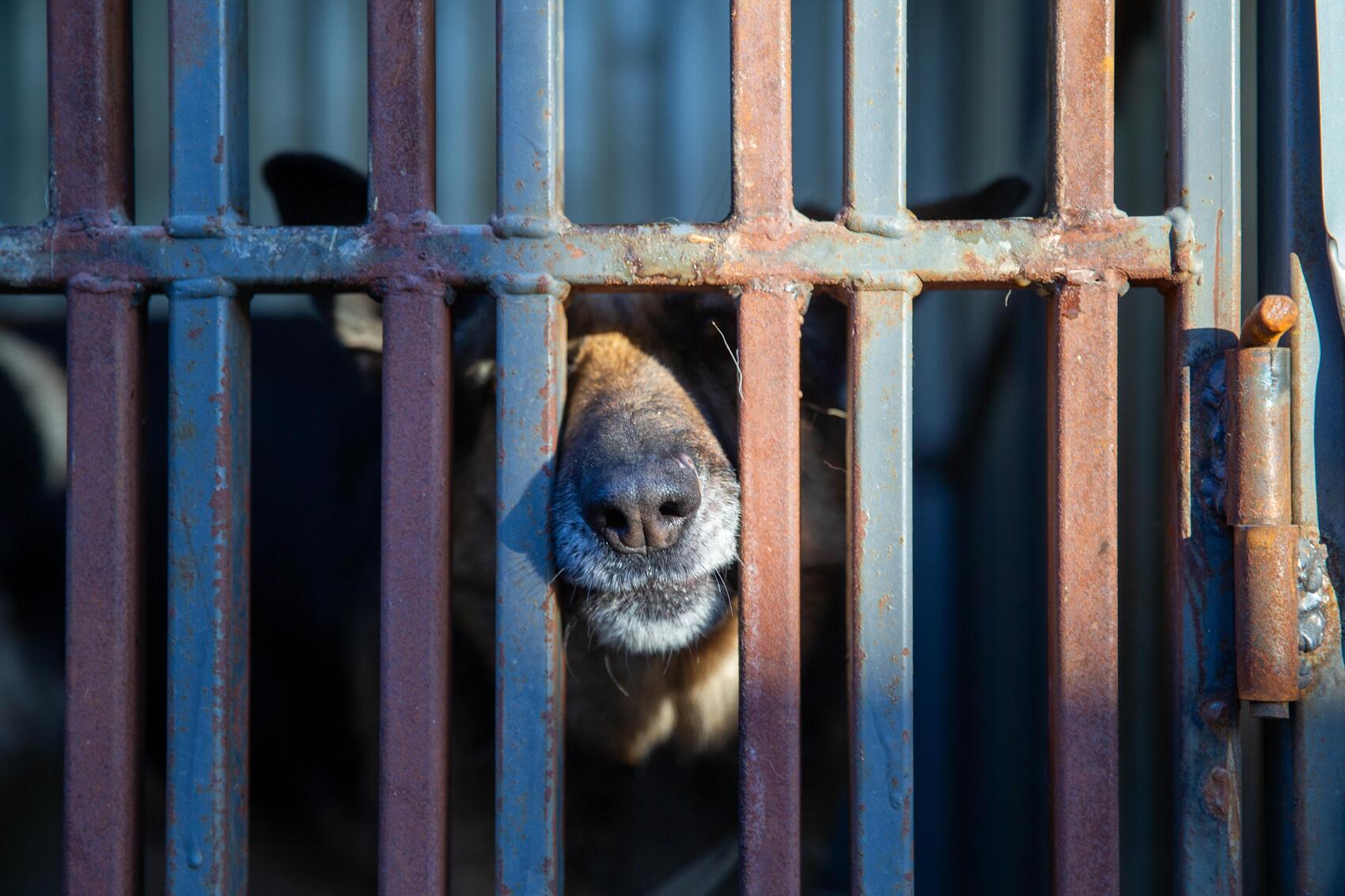 Фото: It’s My City