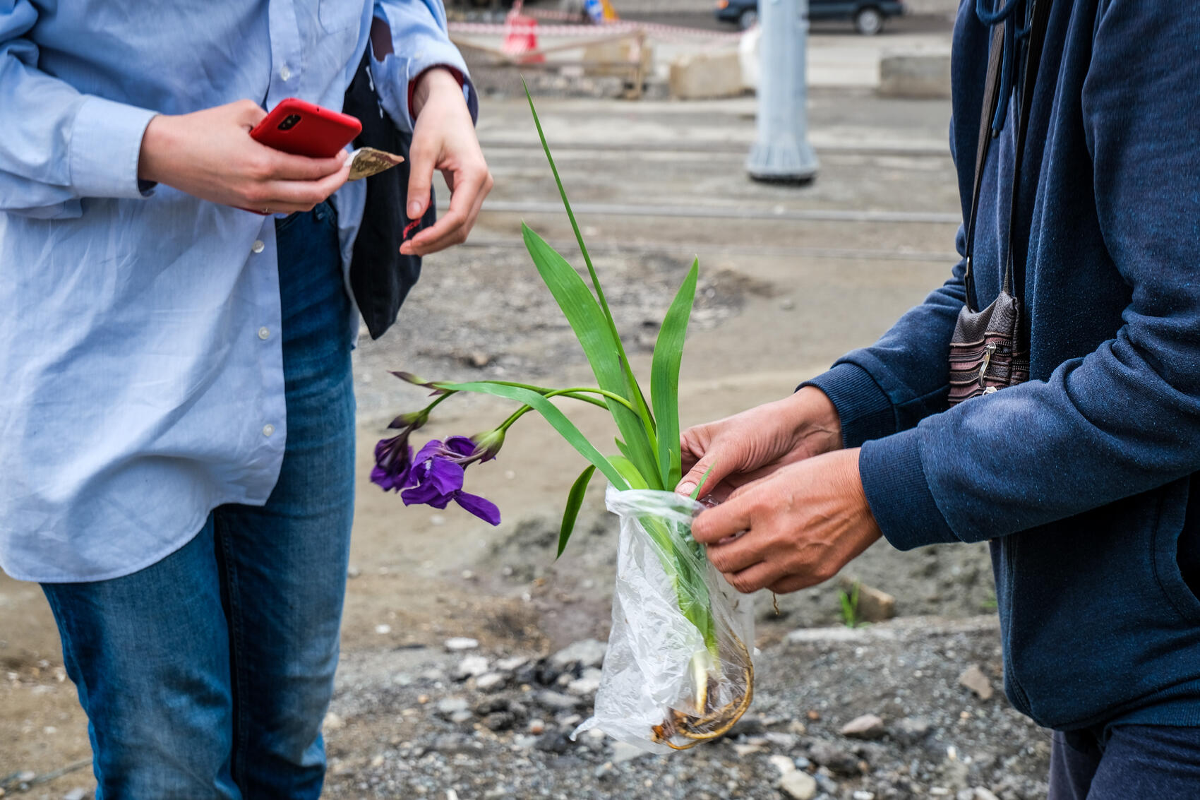 Надежда продает Ирисы и Лилейники у Вокзала. Фото: Саша Зубковский / It's My City