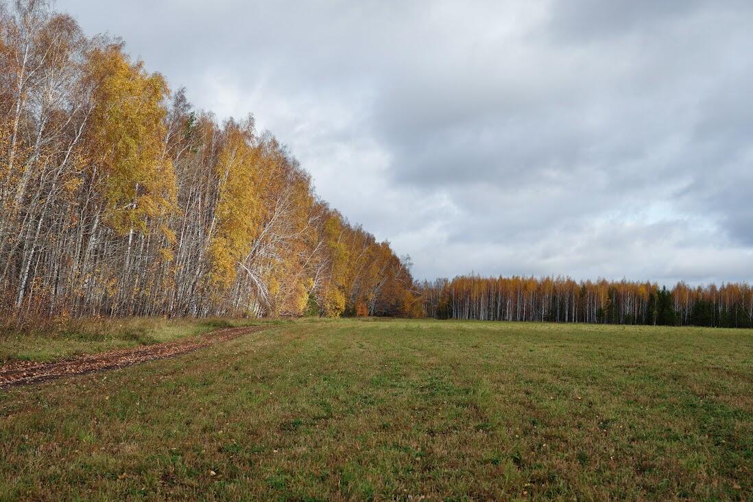 Фото: Елена Елизарова / It's My City
