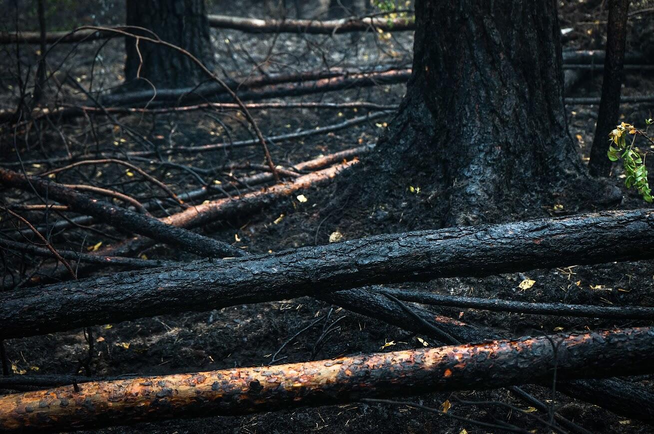 Фото: Арина Распутина / It's My City