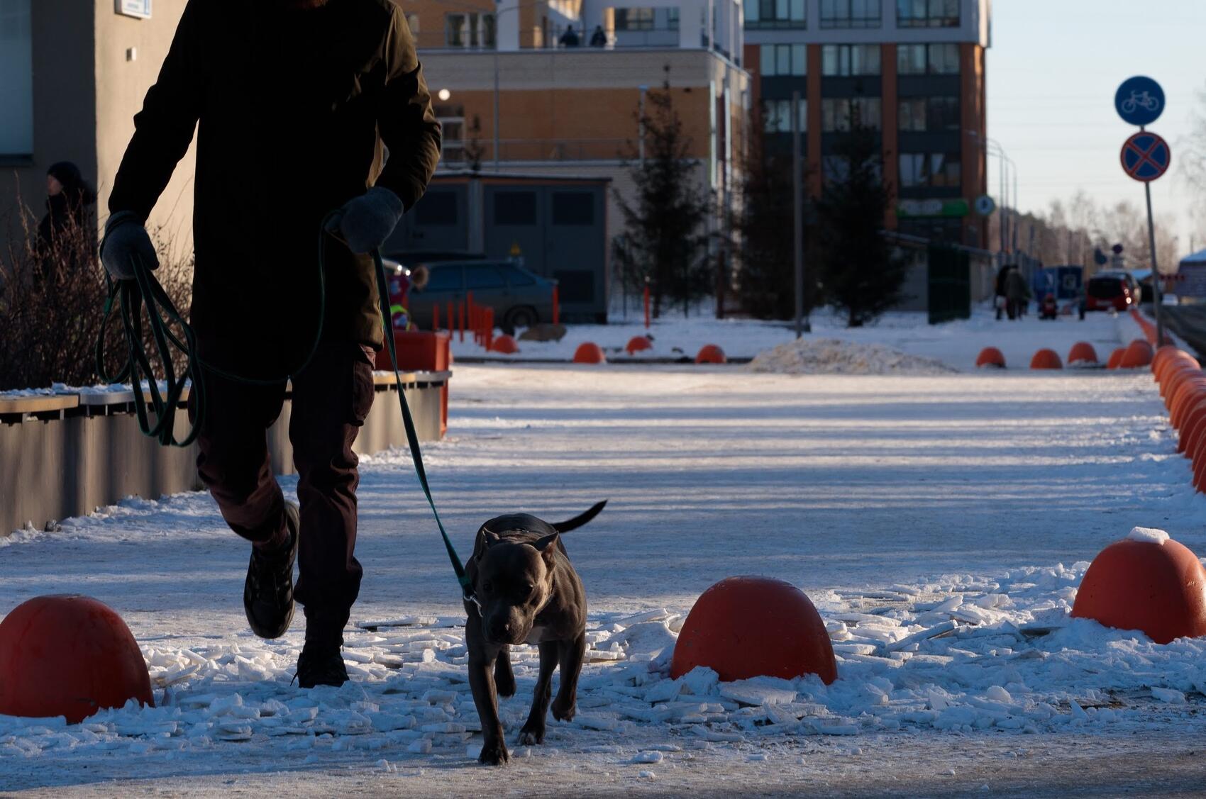 Фото: Марина Молдавская / It's My City