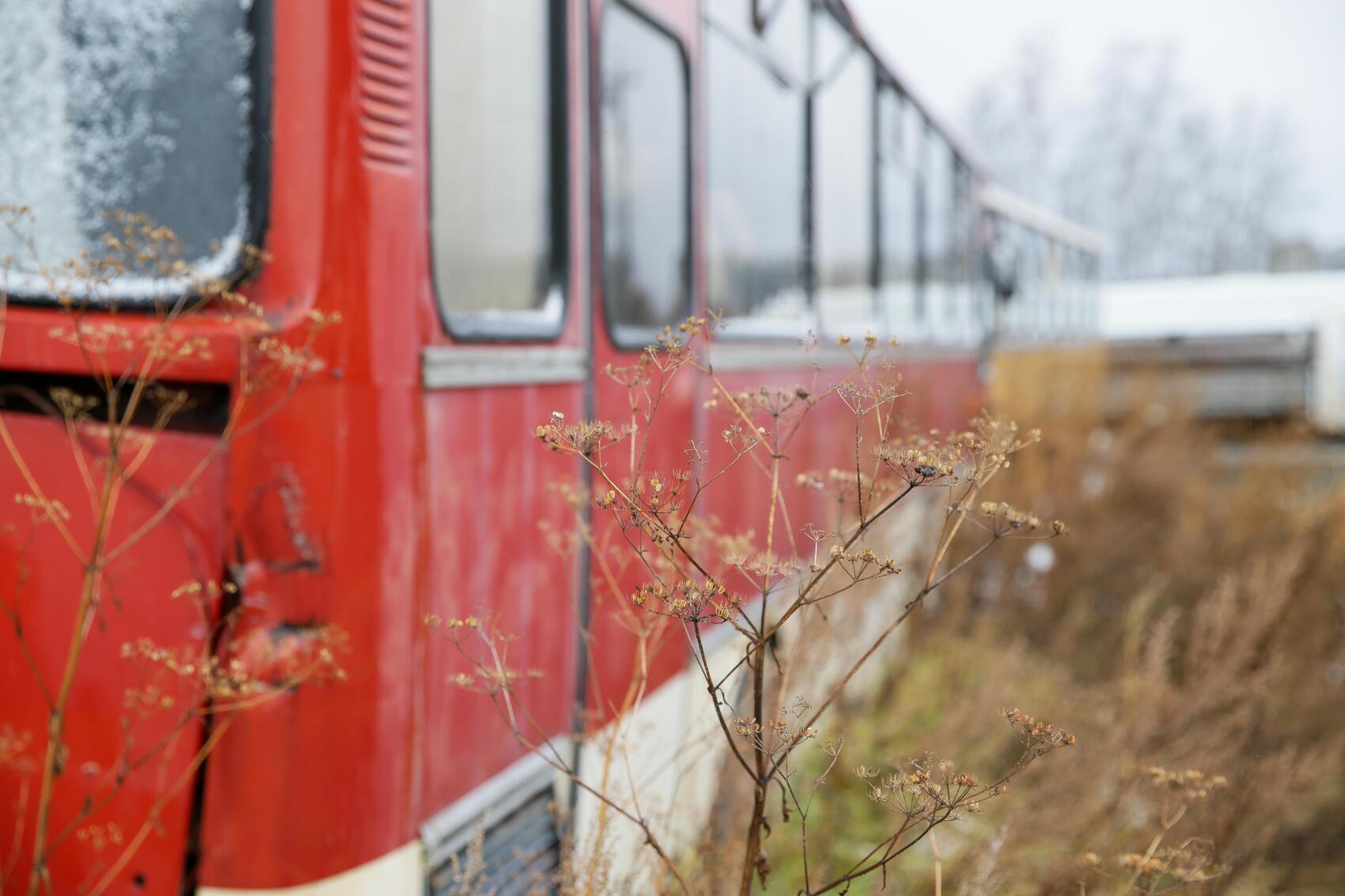 Фото: It’s My City