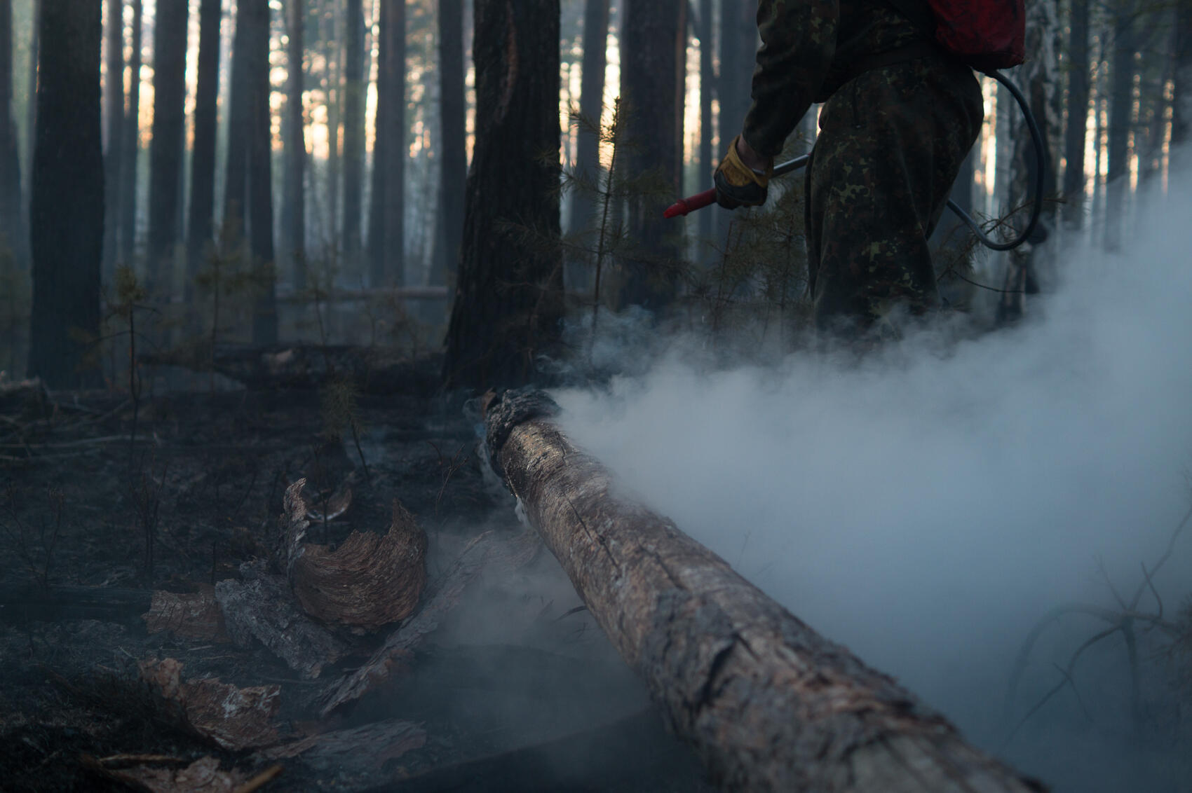 Фото: Елена Елизарова / It’s My City