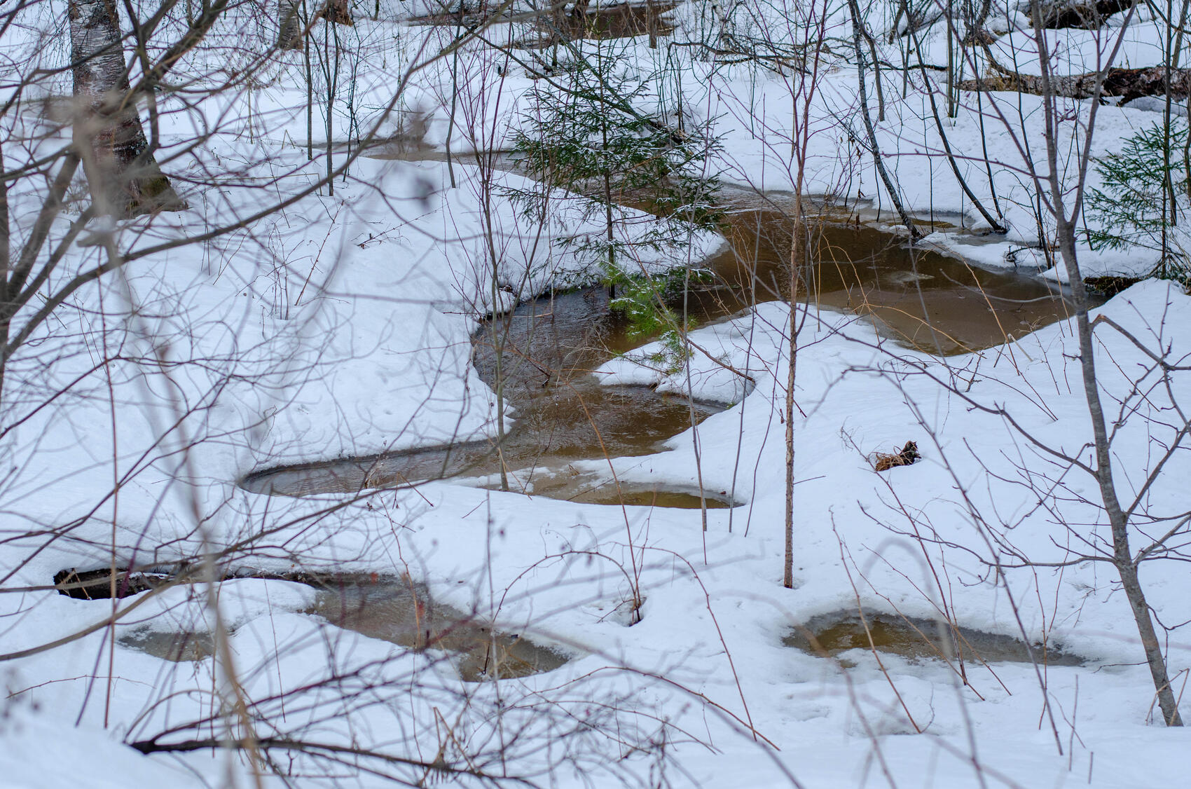 Ручьи в лесу между реками Большая и Малая Черемша