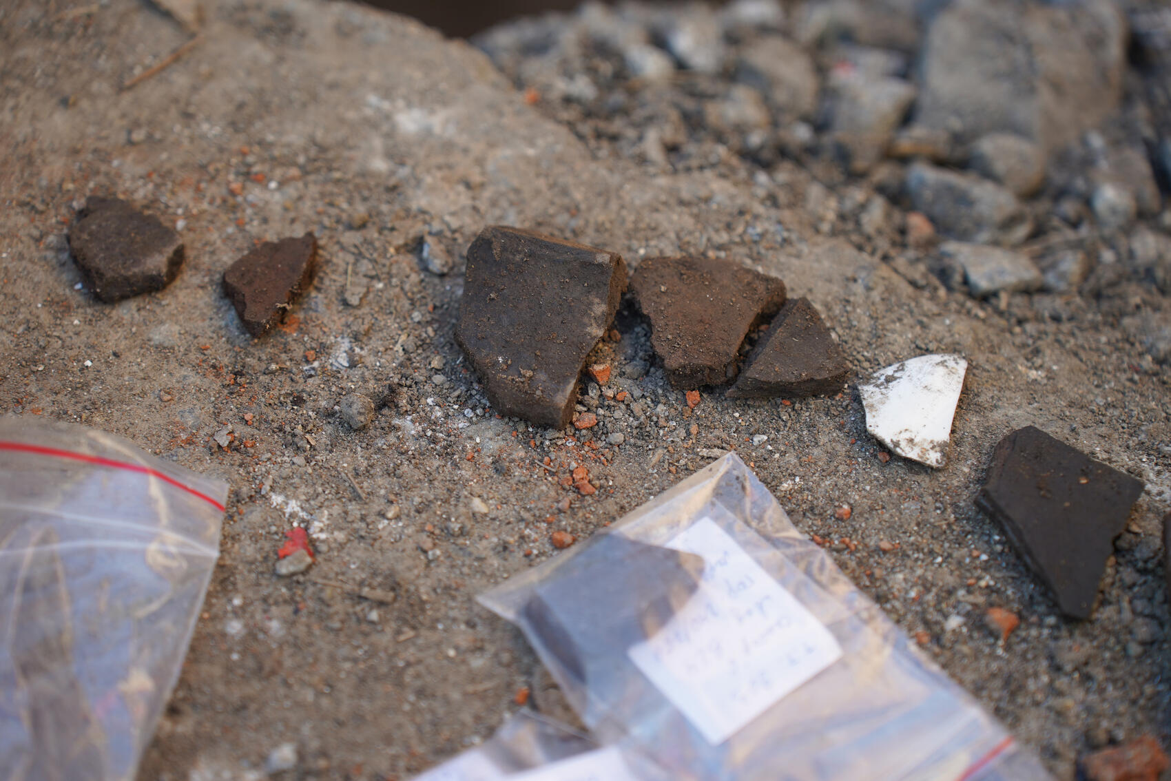 Фото: Елена Елизарова / It’s My&nbsp;City