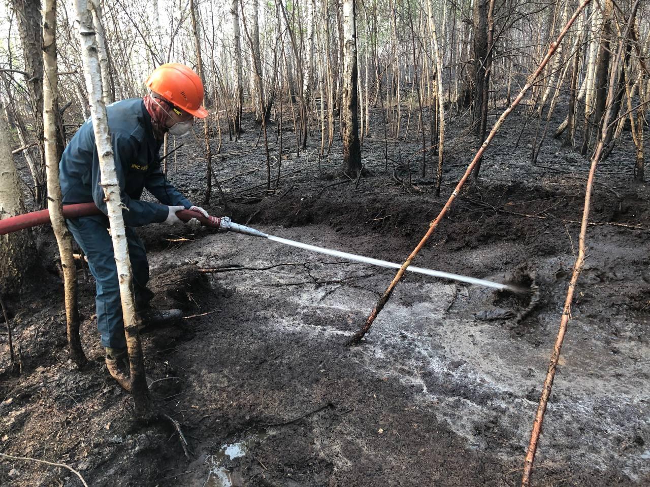 Фото: Мария Рубинина / It’s My City