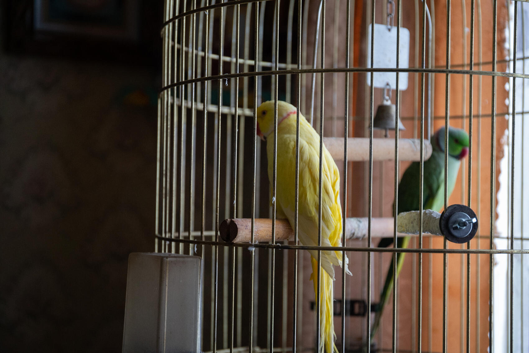 Фото: Илья Вага / It’s My City