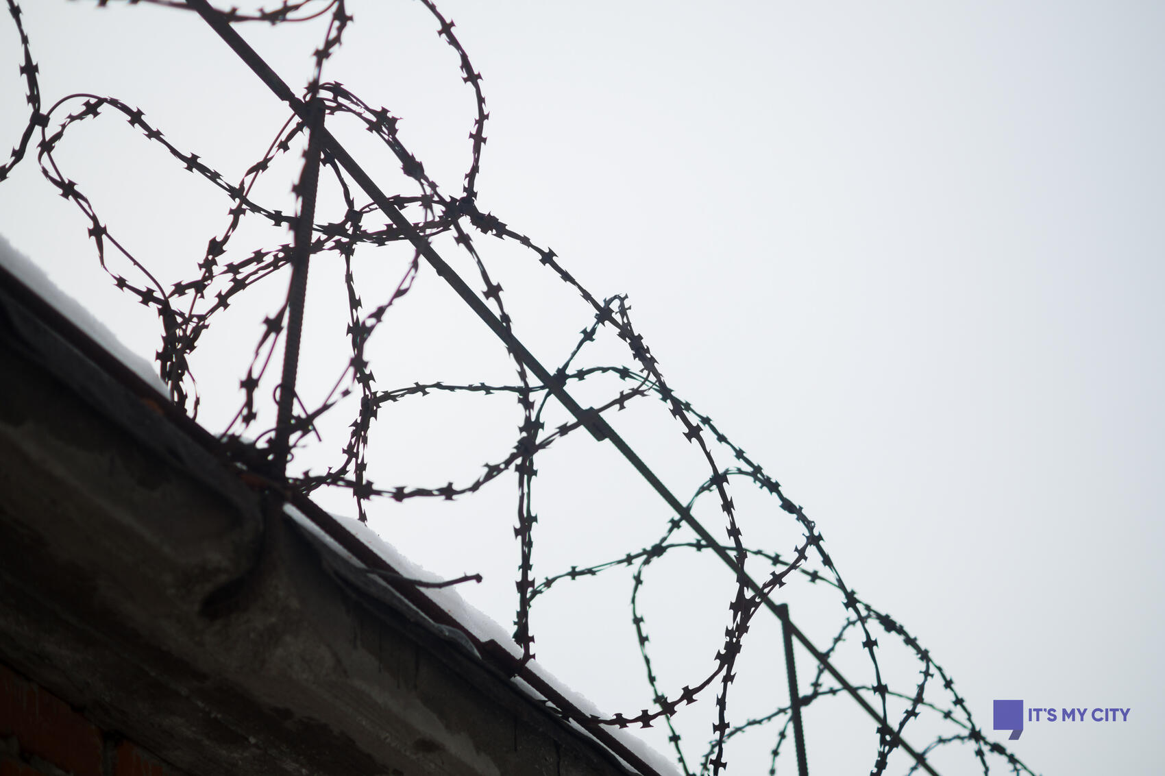 Фото: Елена Елизарова / It's My City