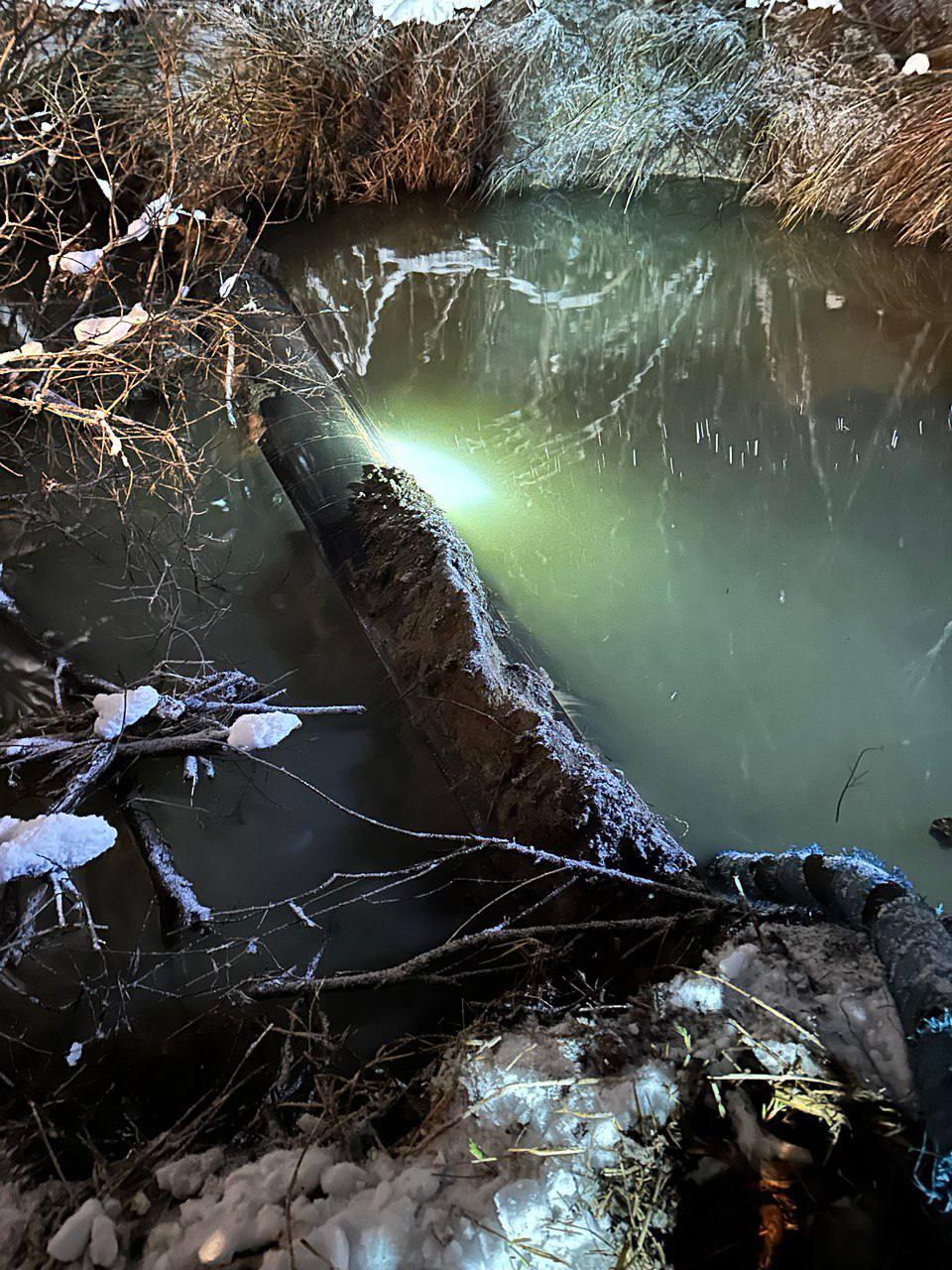 Фото: телеграм-канал Игоря Кабца