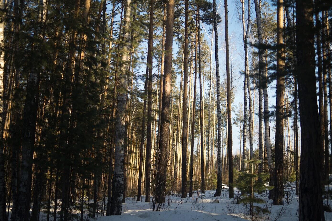 Фото: Елена Елизарова / It’s My City