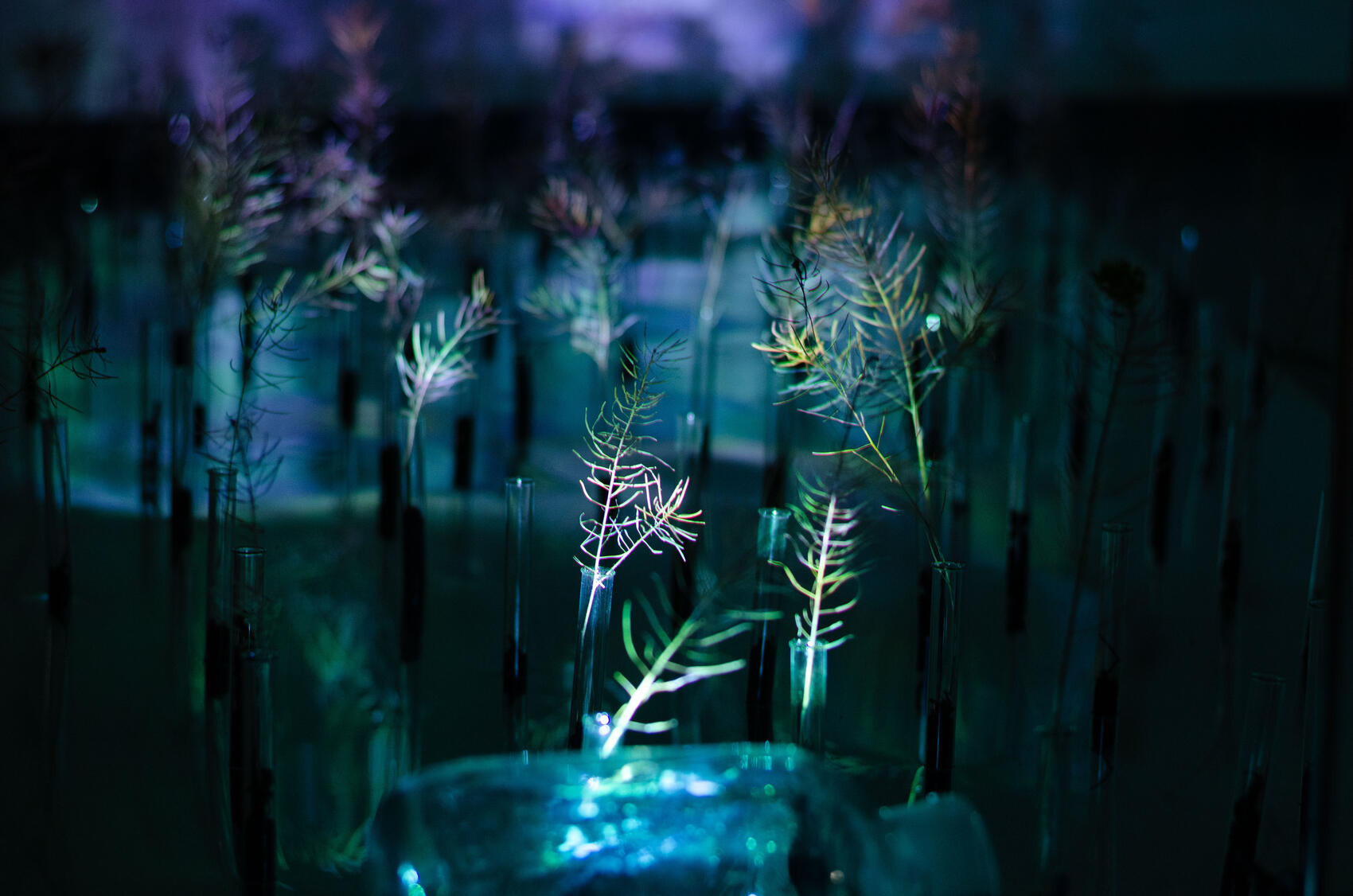 Фото: Евгения Кобеева / It’s My&nbsp;City