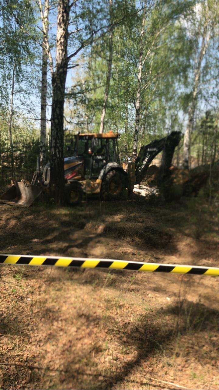 Работы на участке в лесу. Фото: группа ЖК «Мичуринский» во «ВКонтакте»