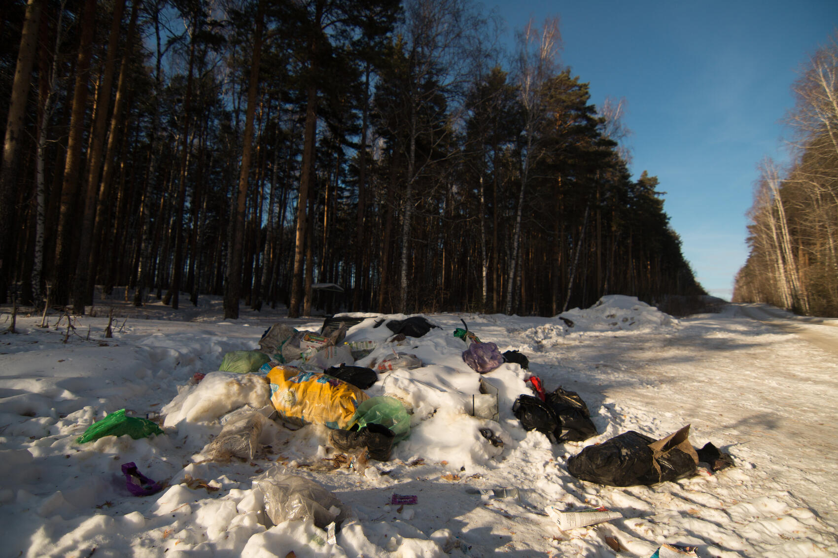 Фото: Елена Елизарова / It’s My&nbsp;City