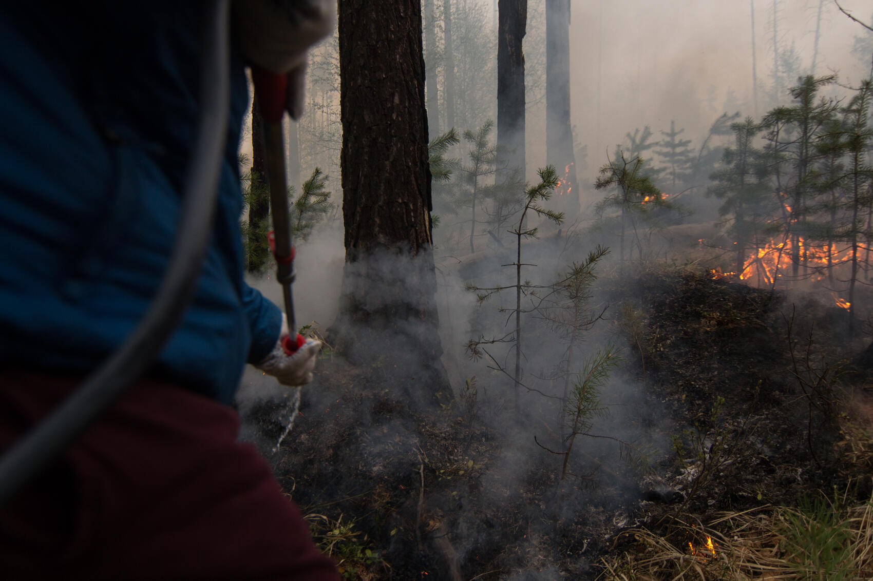 Фото: Елена Елизарова / It’s My&nbsp;City