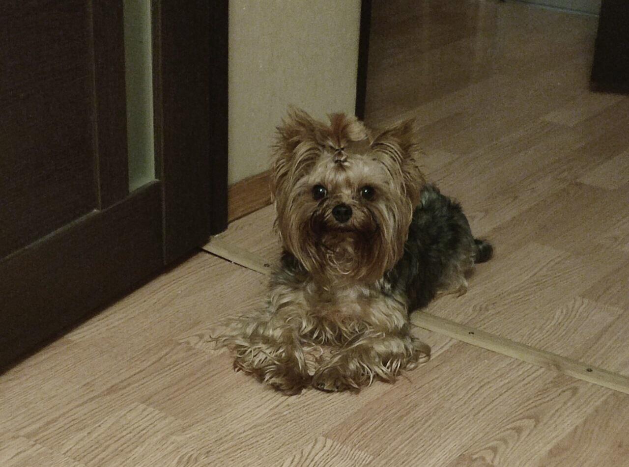 Фото: предоставлено Еленой