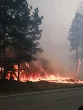 Фото: скриншот видео читателя It's My City