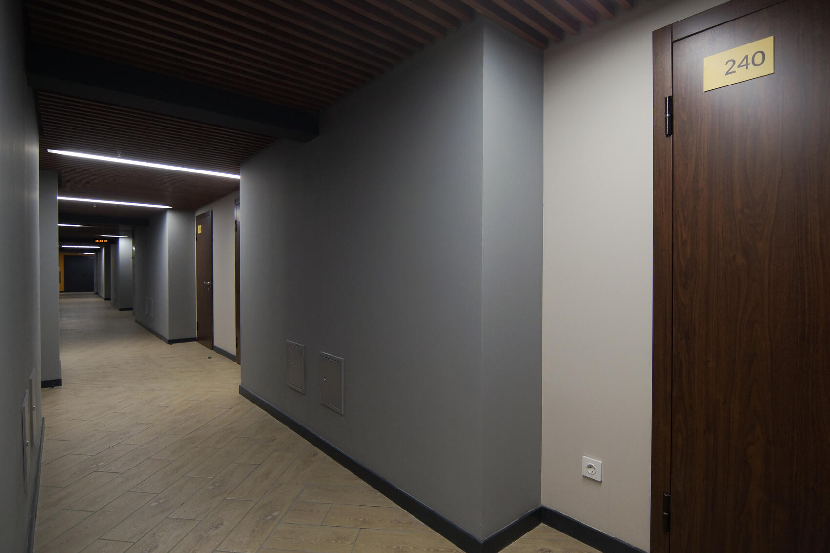 Елена Елизарова / It’s My City