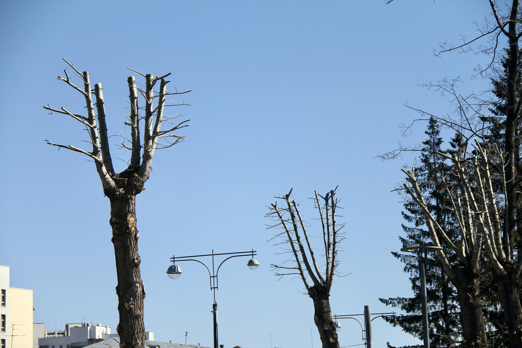 Фото: Мария Рубинина / It's My City