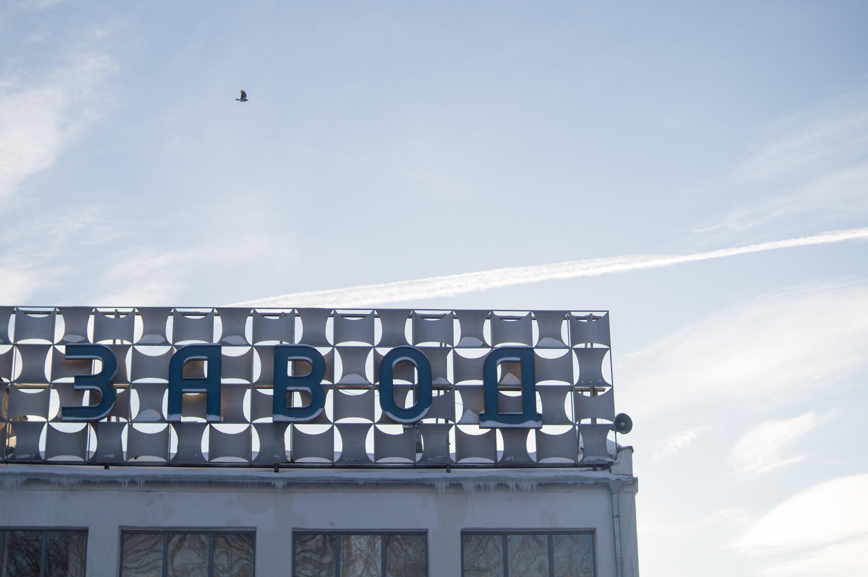 Фото: Елена Елизарова / It's My City