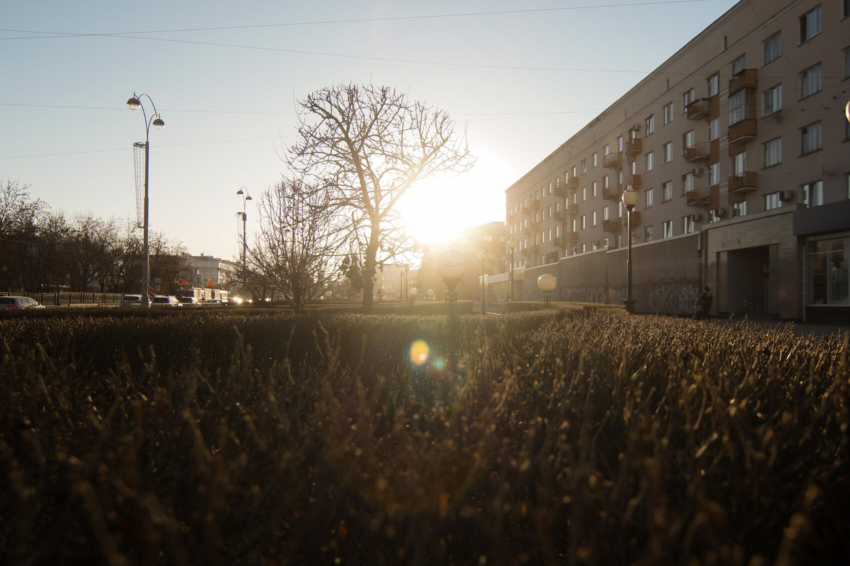 Фото: Елена Елизарова / It's My City