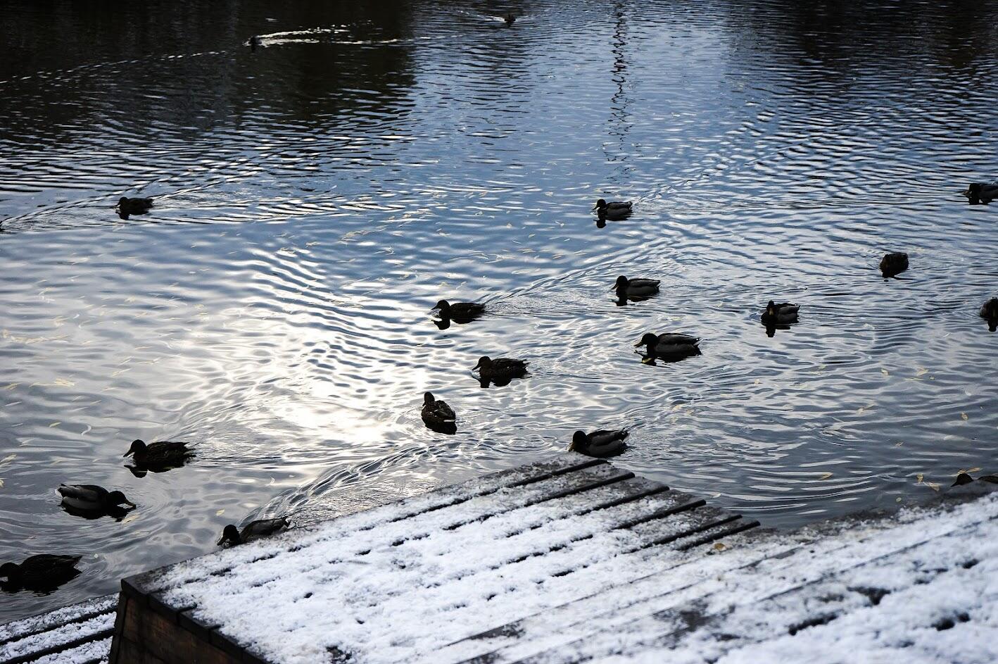 Фото: Арина Томашова / It's My City