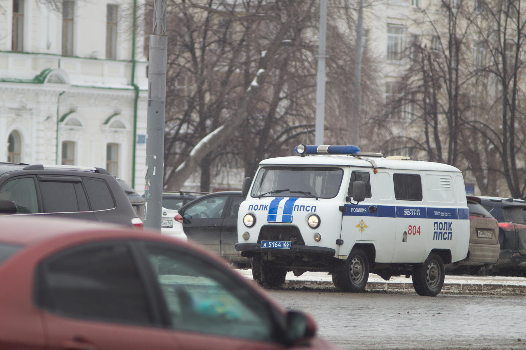 Фото: Елена Елизарова / It’s My City