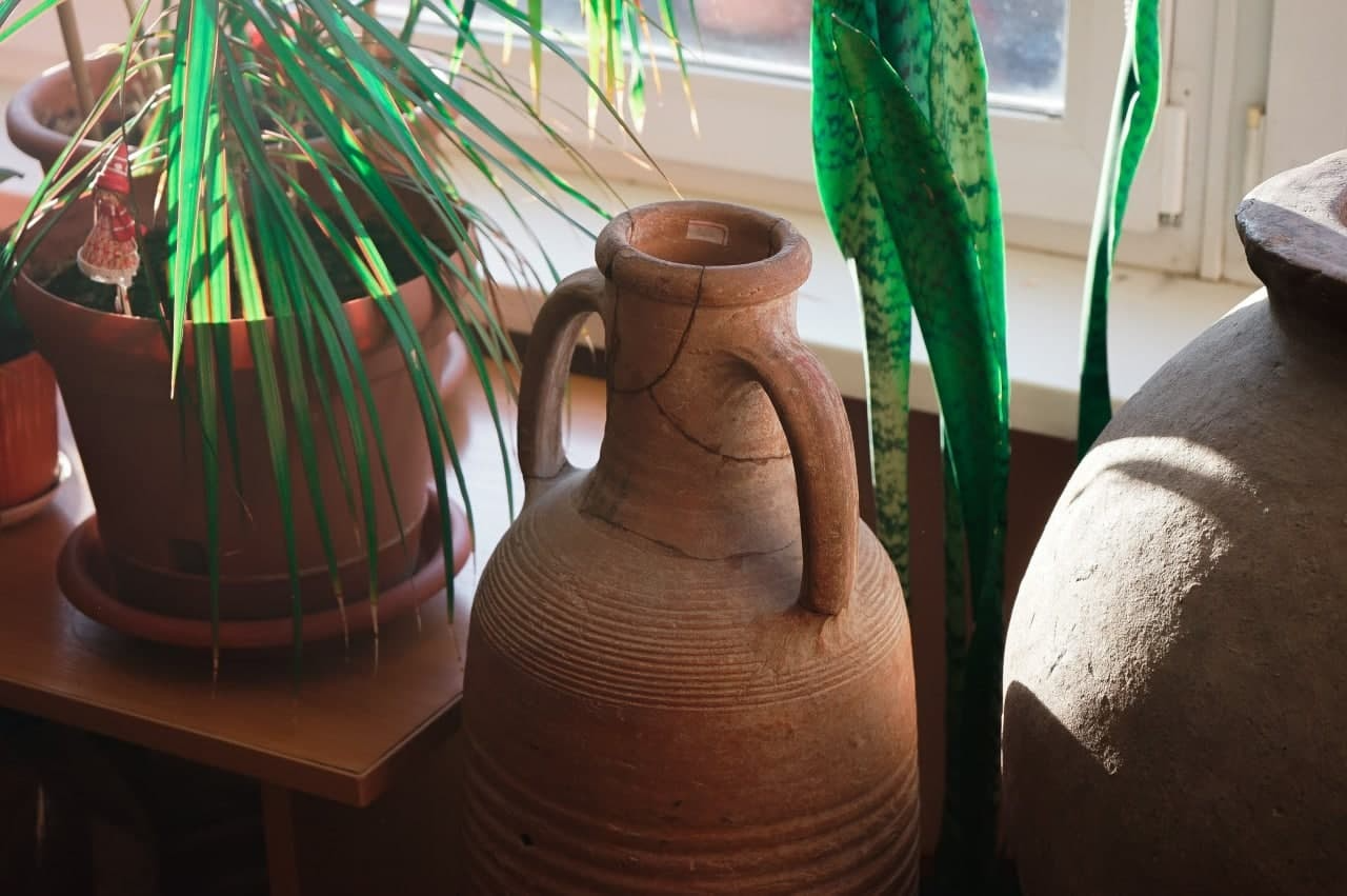 Фото: Арина Томашова/ It's My City