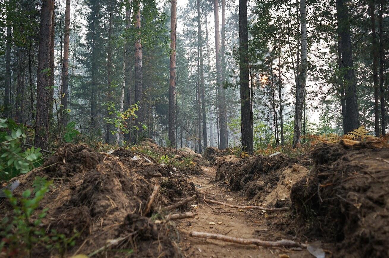 Фото: Арина Томашова / It's My City