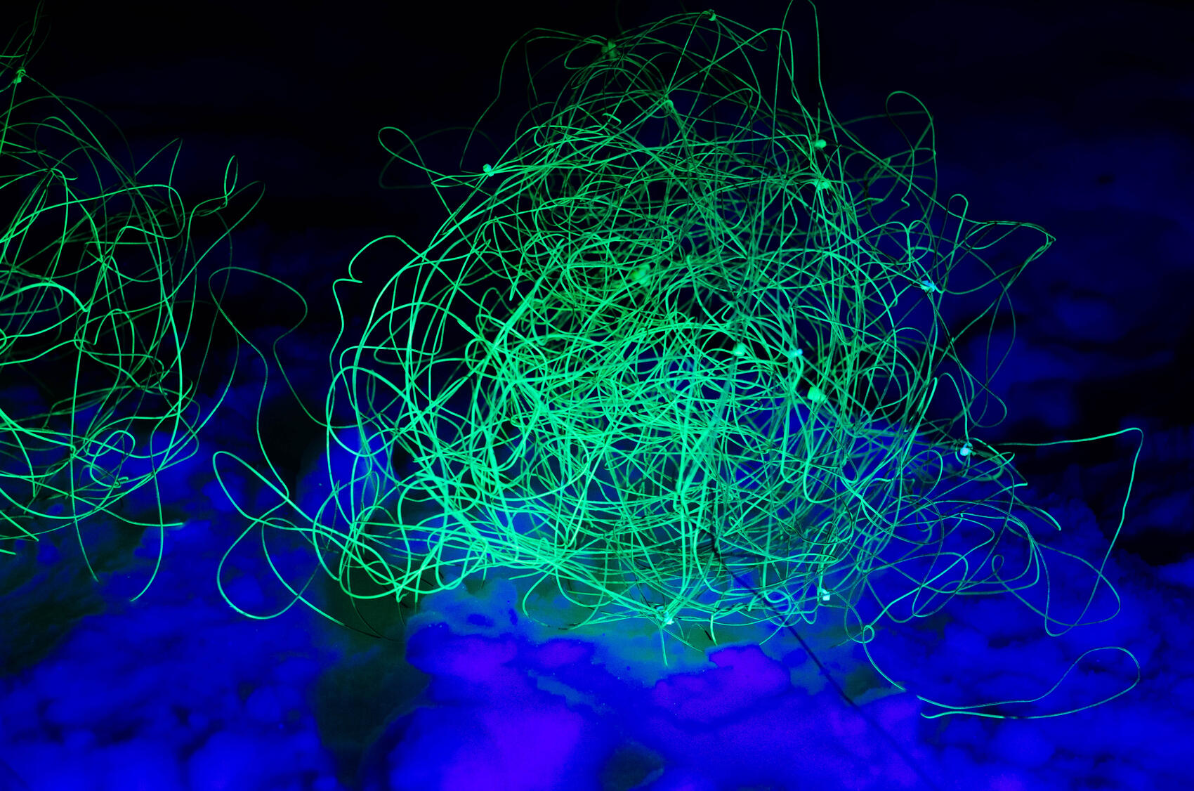 Фото: Евгения Кобеева / It's My City