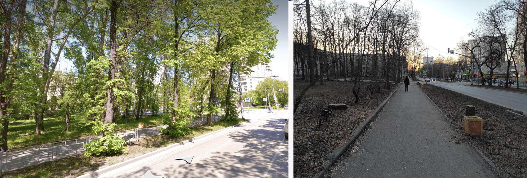 Коллаж: «Яндекс. Панорама», телеграм-канал «Деревья Екатеринбурга»