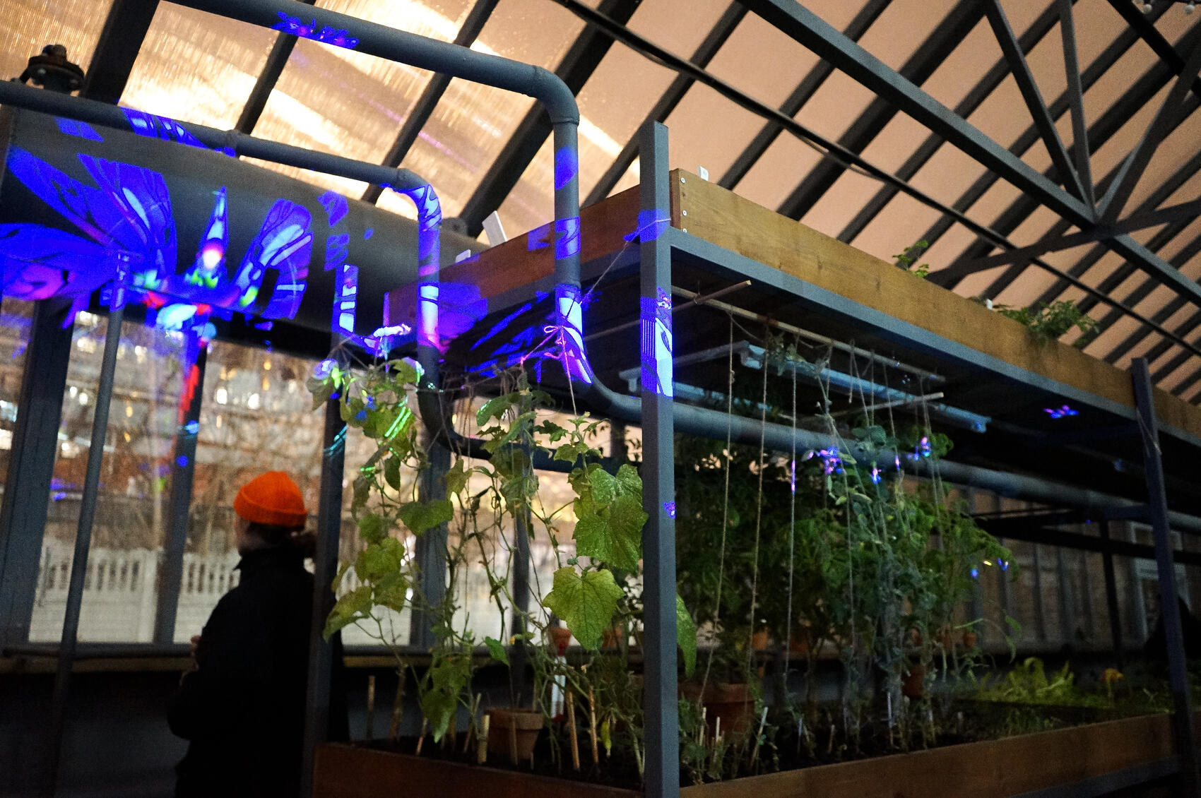 Фото: Арина Томашова / It’s My City