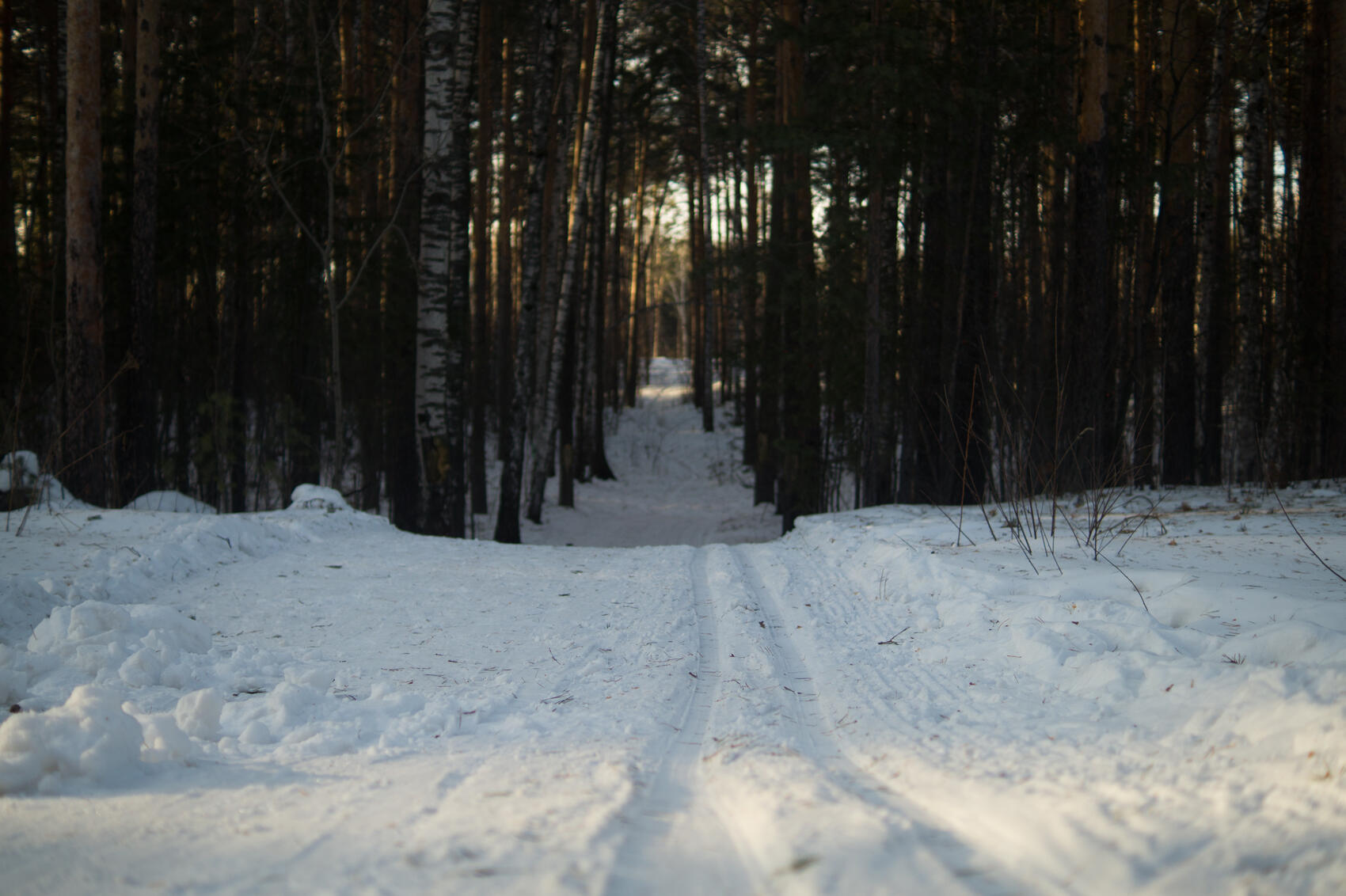Фото: Елена Елизарова / It's My City