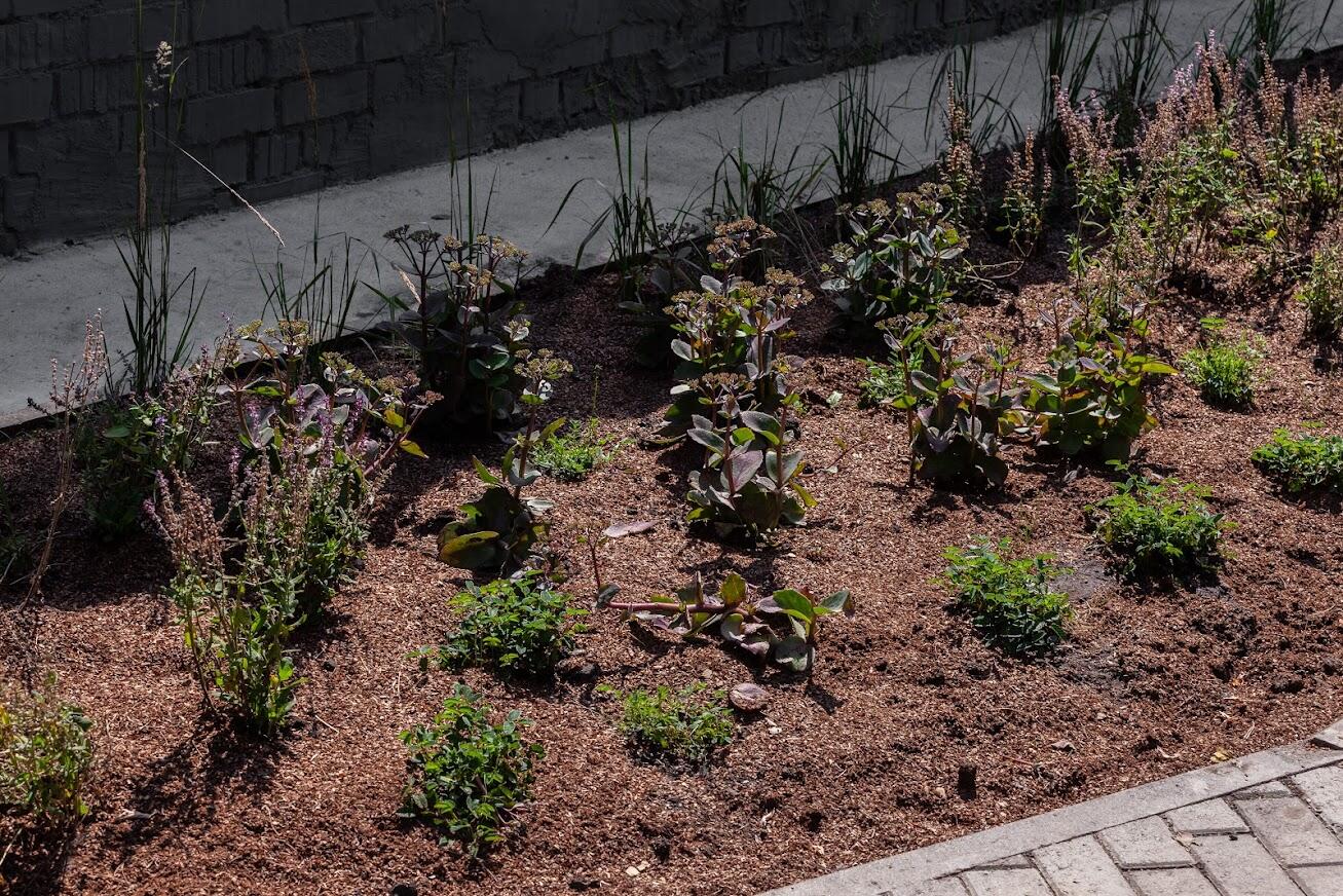 Фото: Игорь Брук / It's My City