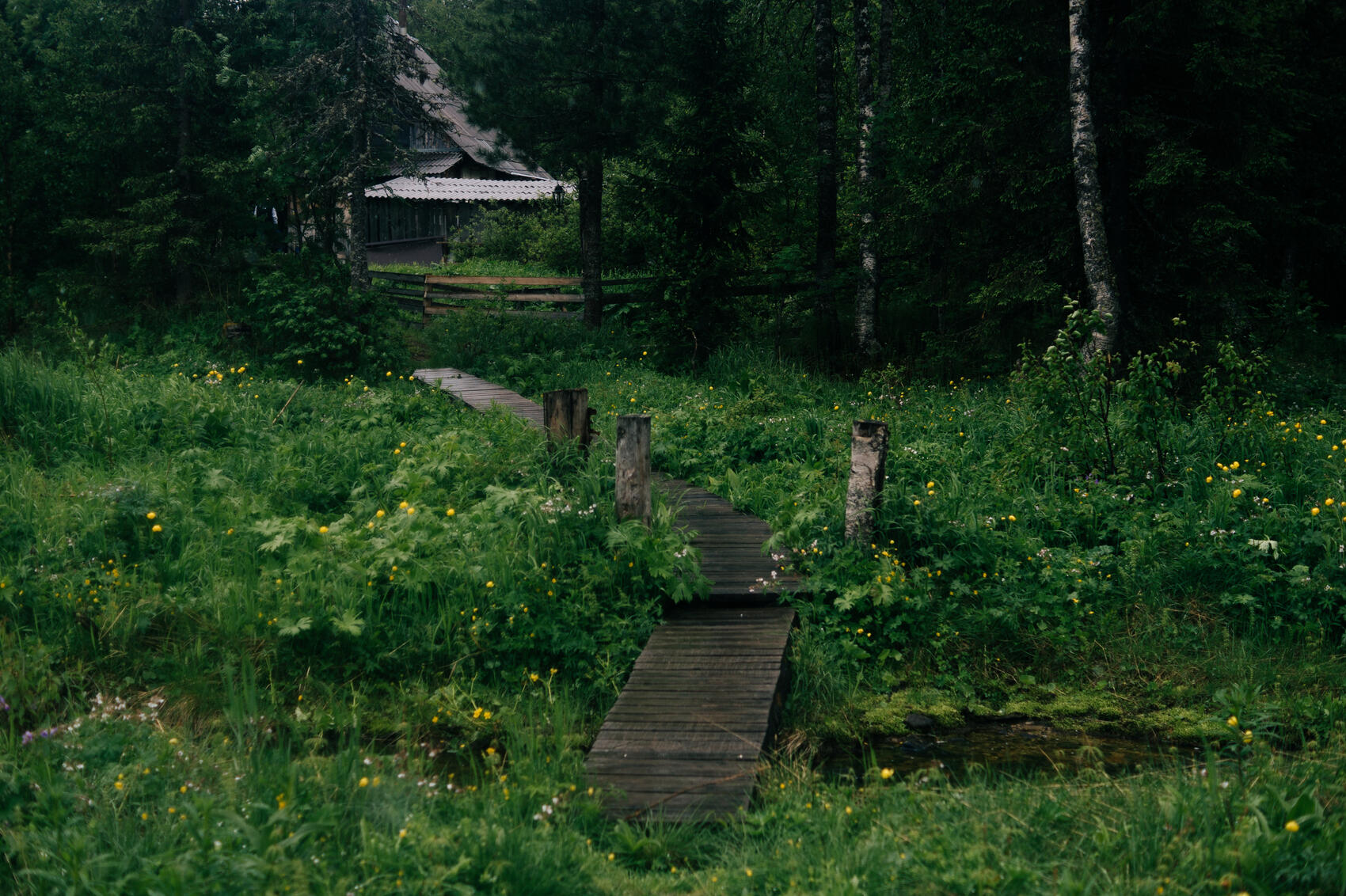 Фото: Елена Елизарова / It’s My City