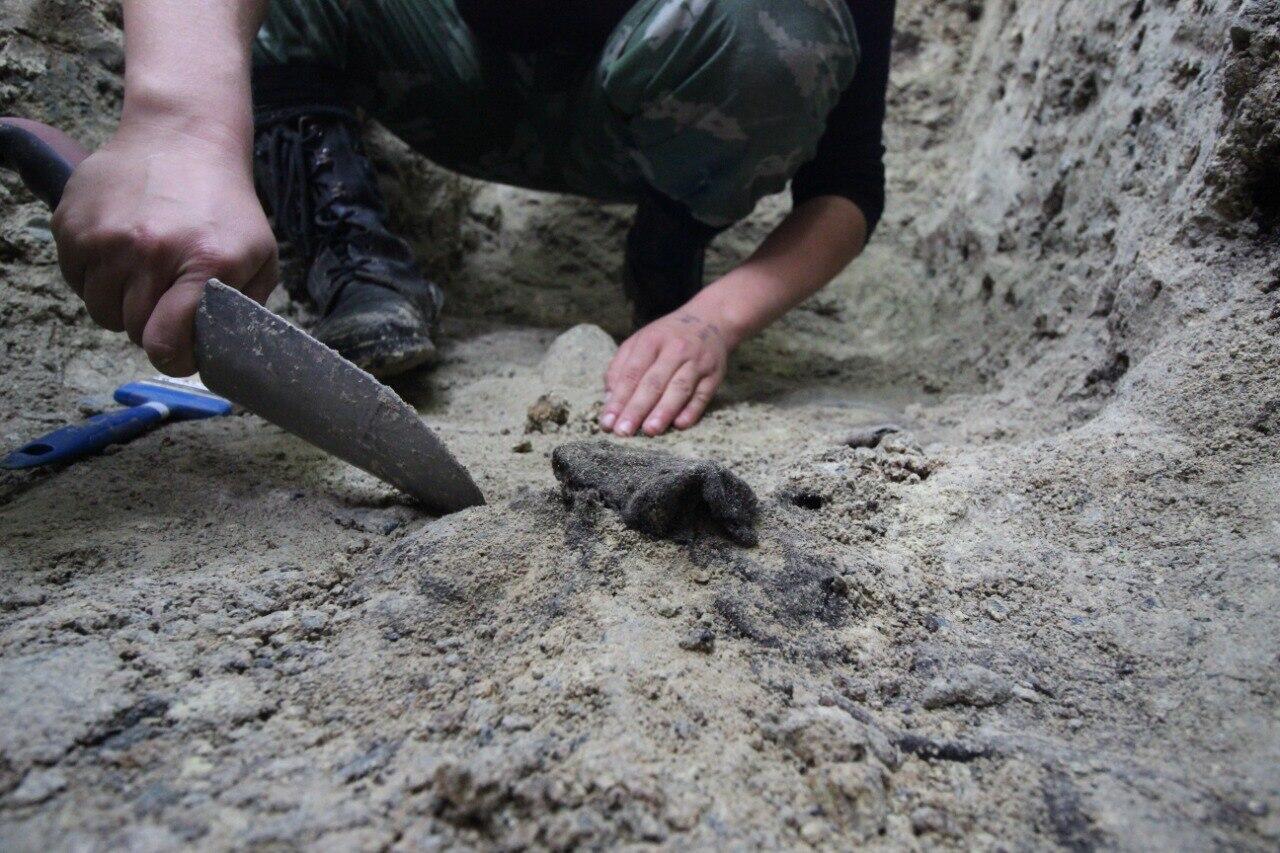 Фото: предоставлено Игорем Пушкаревым