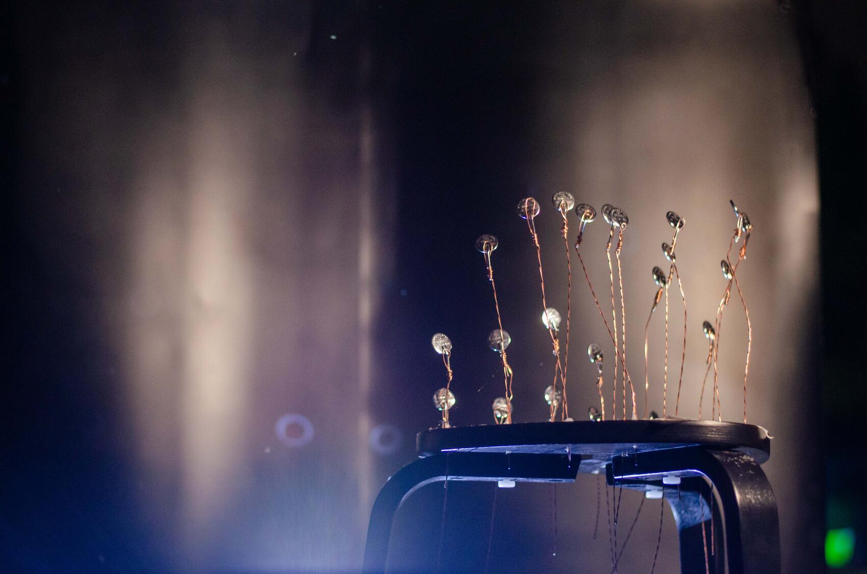 Фото: It’s My City