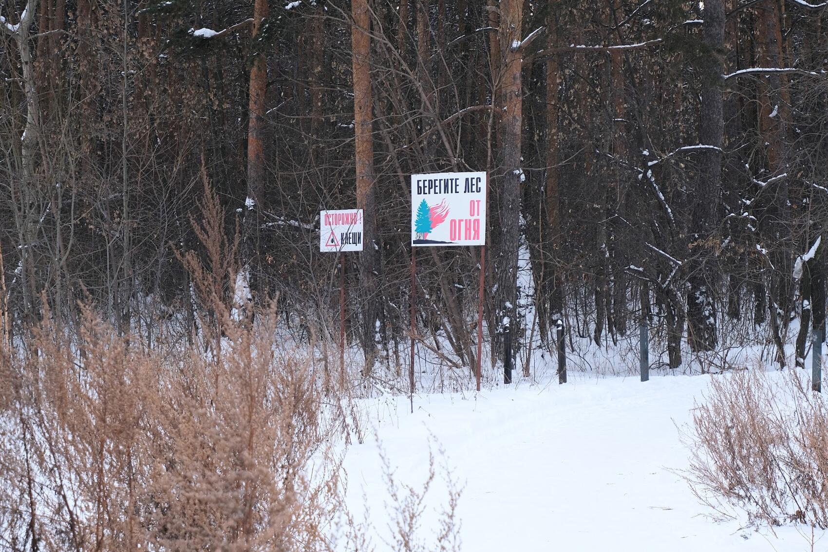 Фото: Саша Зубковский / It's My City