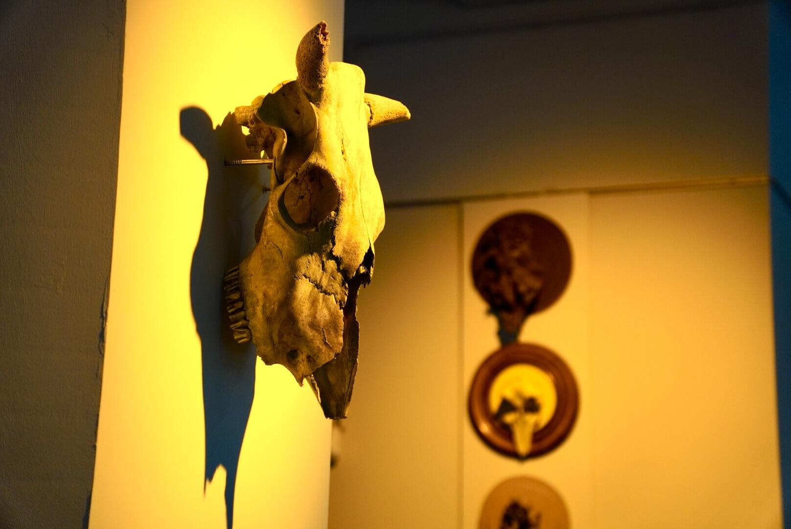 Фото: It's My City