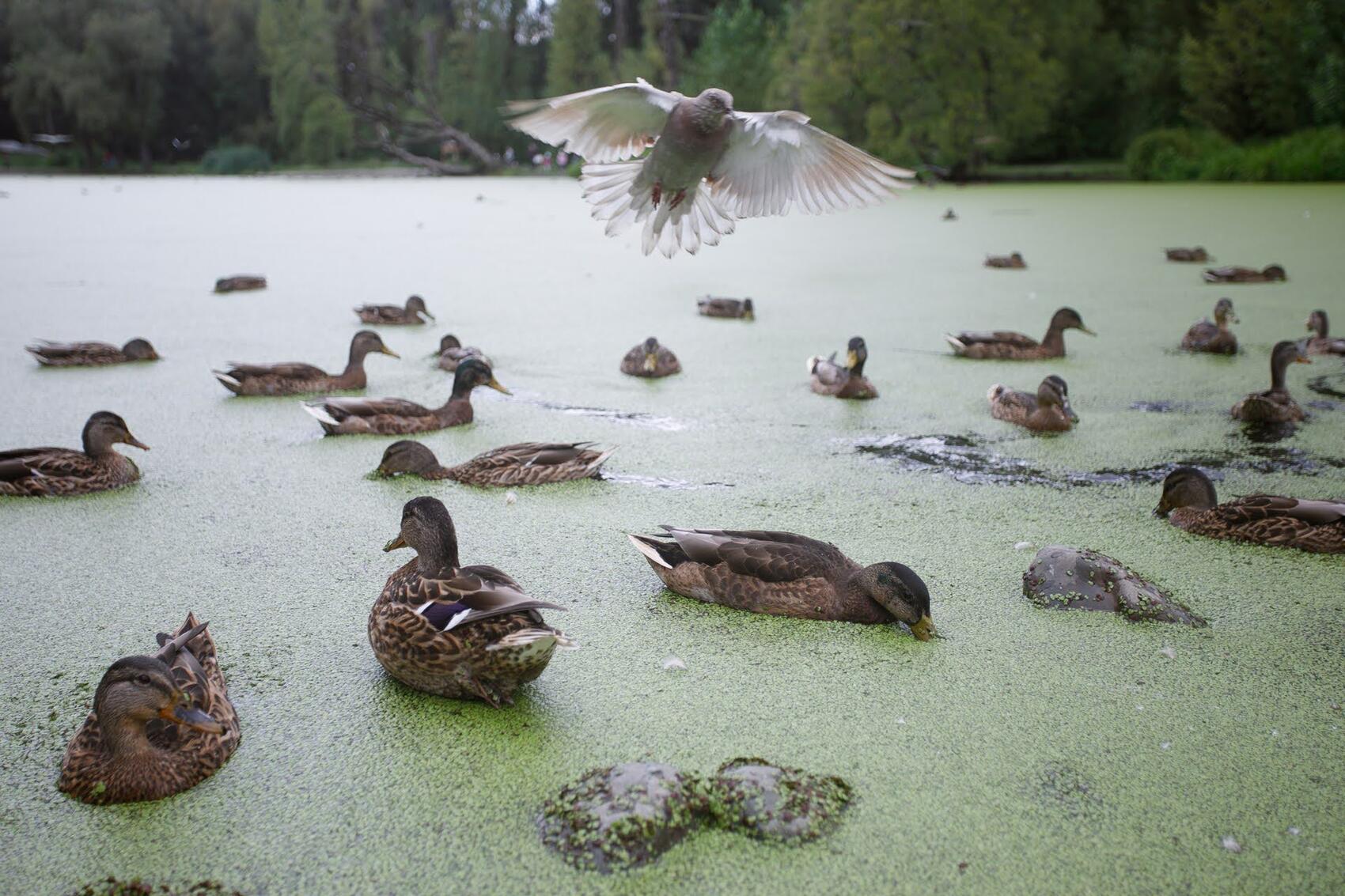 Фото: Марина Молдавская / It's My City