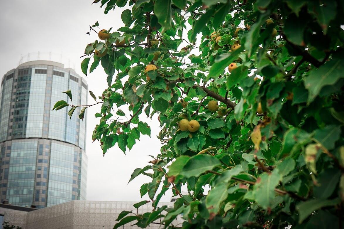 Архивное фото. Автор: Арина Томашова / It's My City