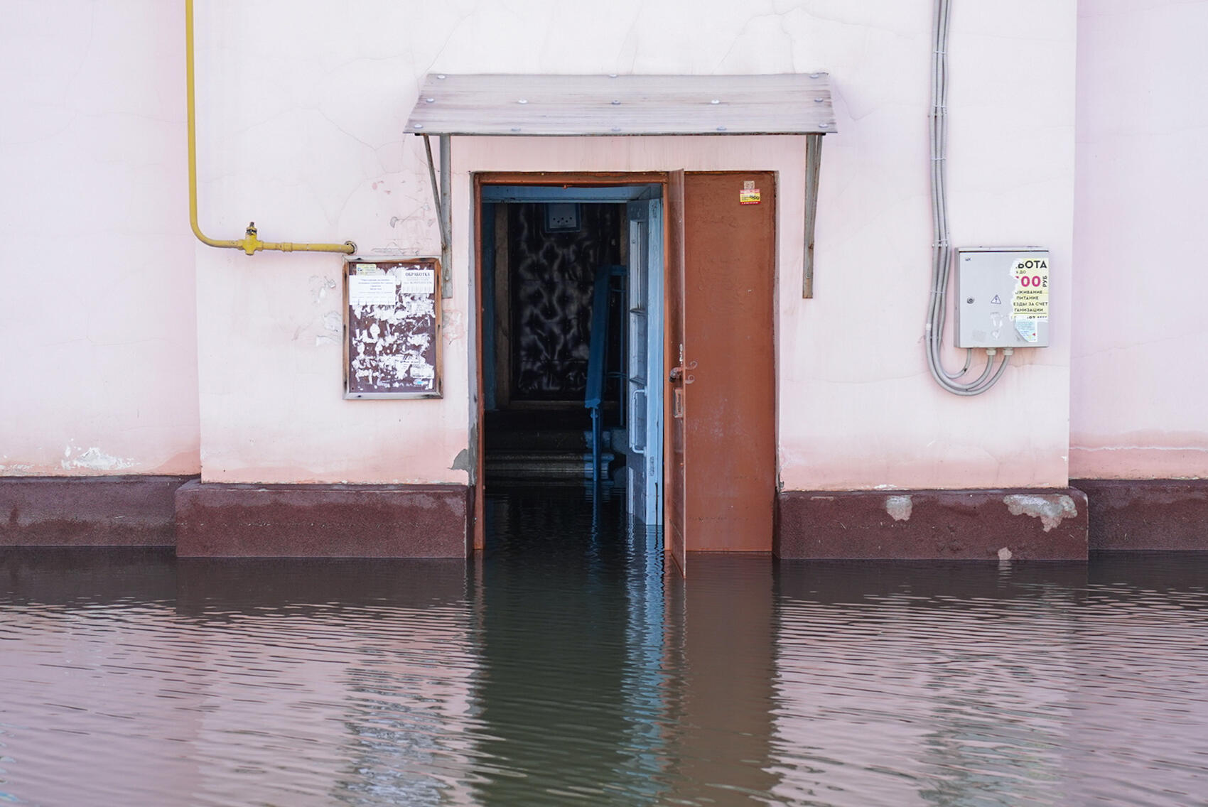 Фото: Елена Елизарова / It's My City